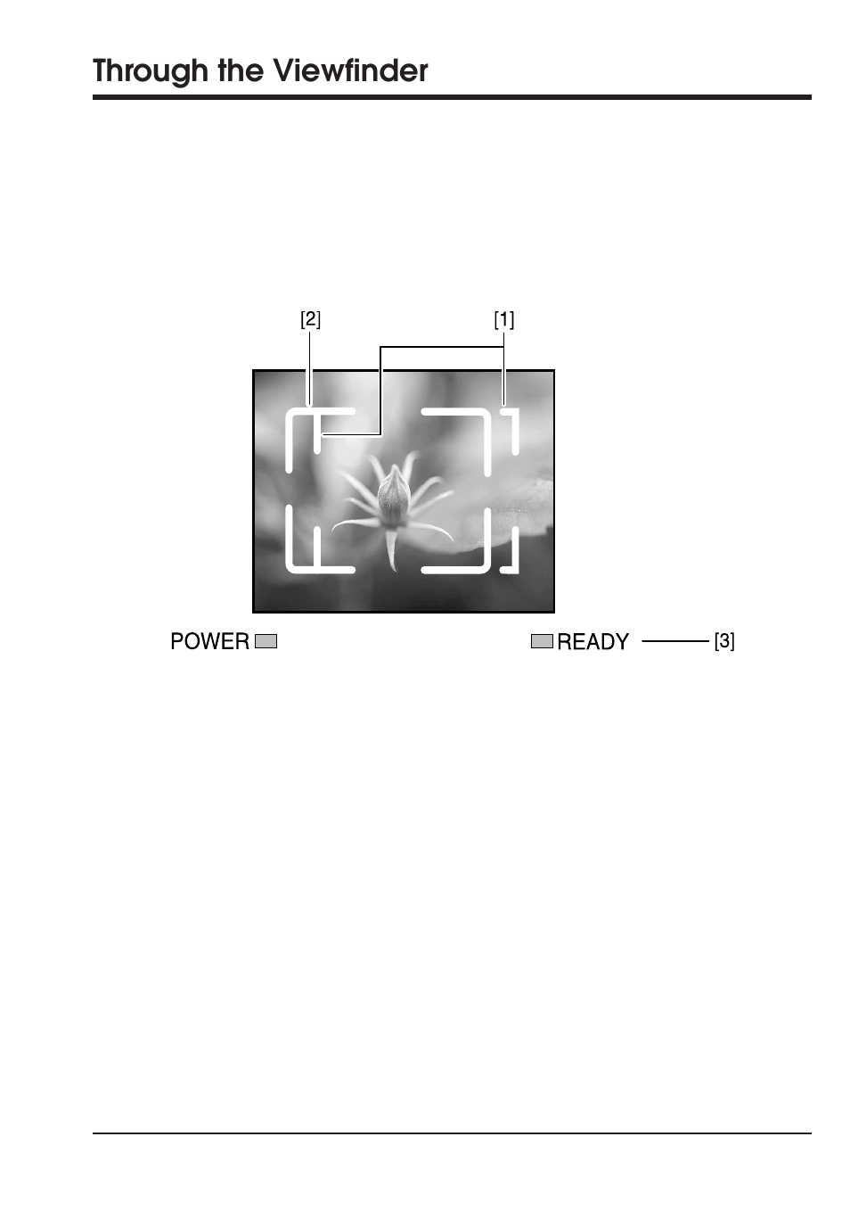 Through the viewfinder | Nikon Coolpix 300 User Manual | Page 25 / 116