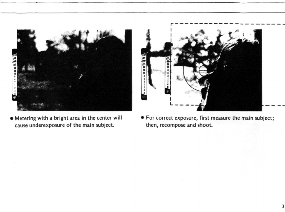 Nikon EL2 User Manual | Page 31 / 75