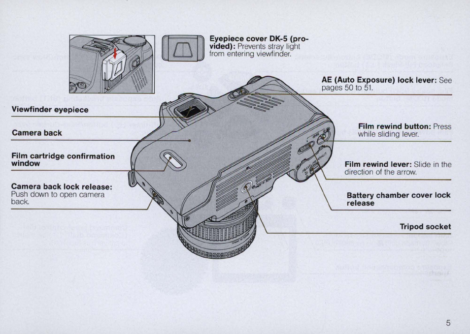 Foreword | Nikon N6000 User Manual | Page 5 / 132