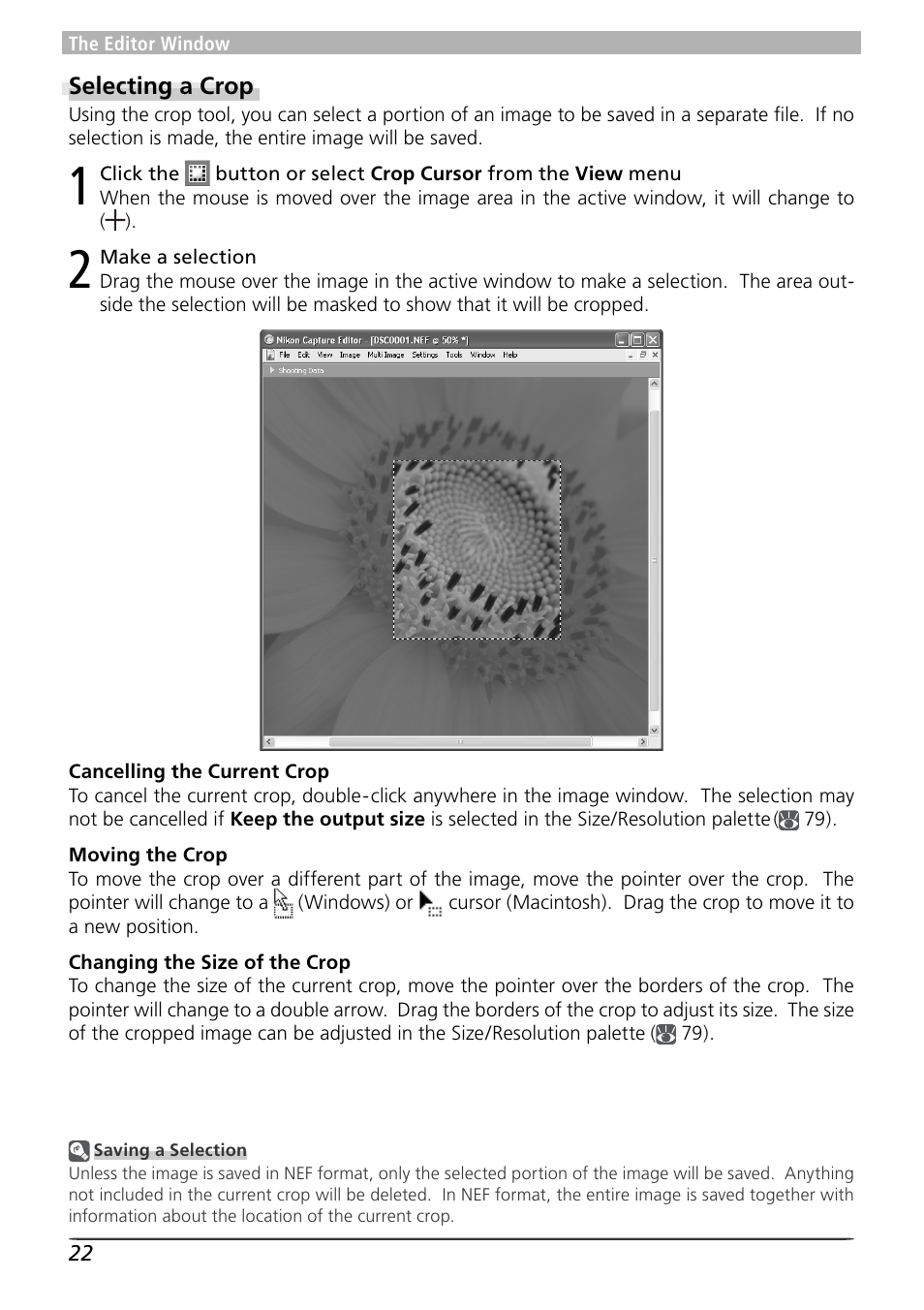 Nikon 4 User Manual | Page 26 / 161