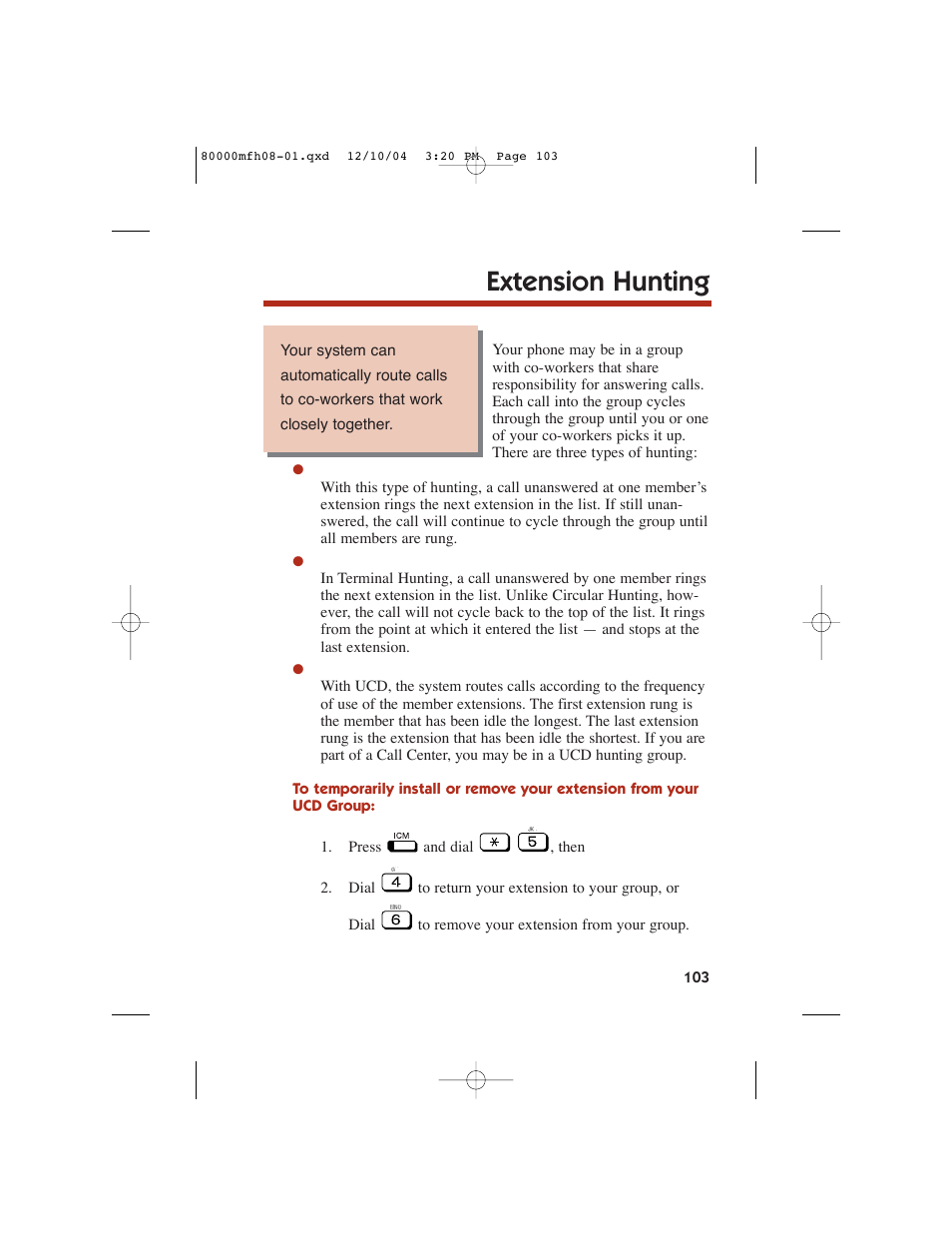 Extension hunting | NEC DS1000 User Manual | Page 111 / 216