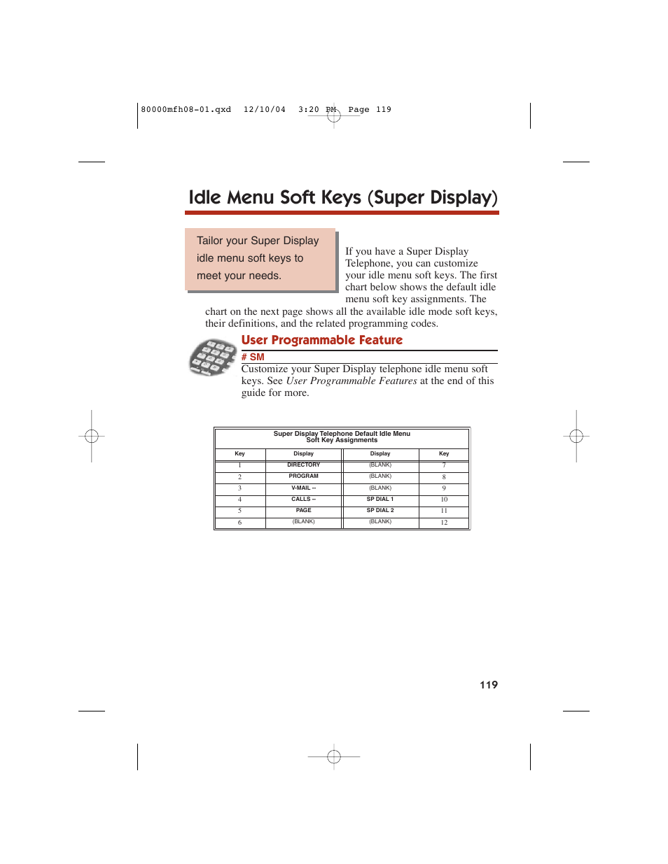 Idle menu soft keys (super display), User programmable feature | NEC DS1000 User Manual | Page 127 / 216