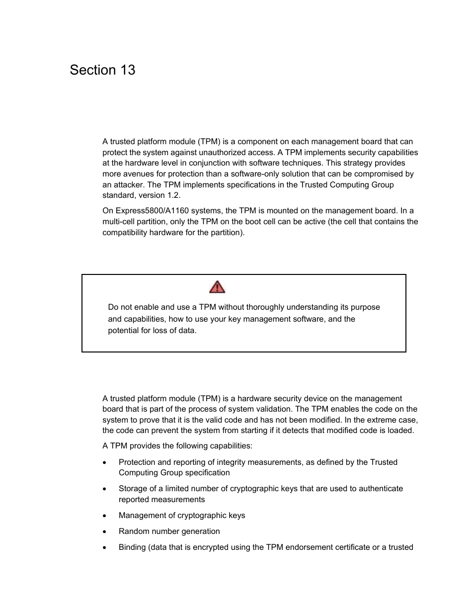 Using a trusted platform module, Tpm capabilities | NEC ExpressA1160 User Manual | Page 243 / 252