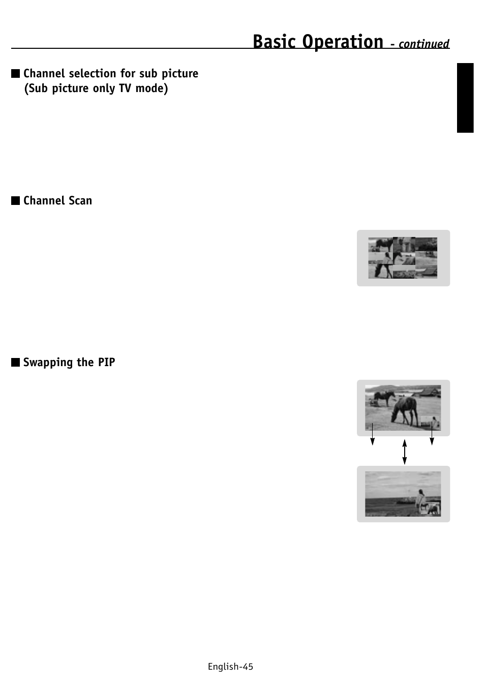 Basic operation, Continued, Channel scan | Swapping the pip | NEC PV32 User Manual | Page 49 / 60