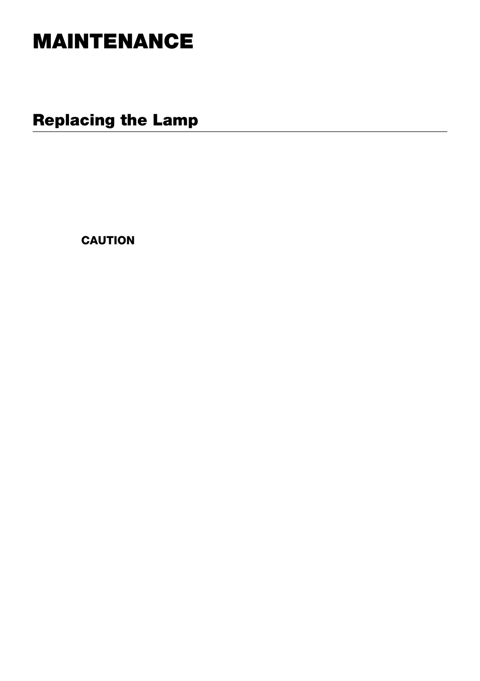 Maintenance, Replacing the lamp | NEC LT240 User Manual | Page 118 / 151