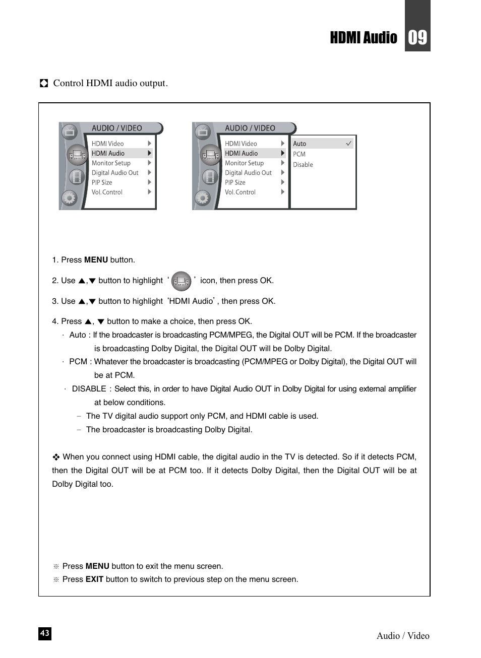 Hdmi audio | NEC NHD-3000PVR User Manual | Page 45 / 63