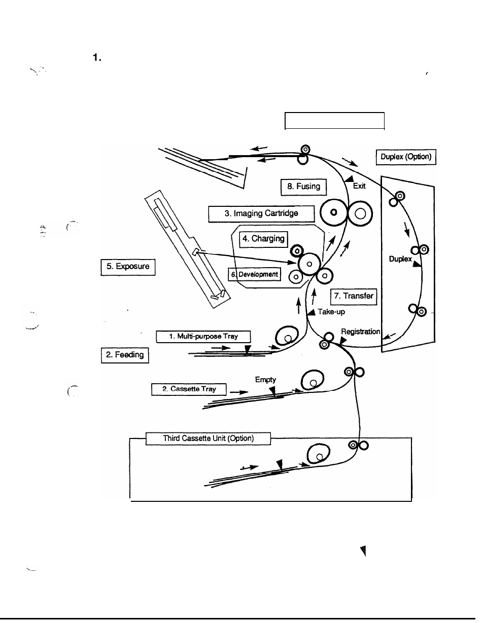 Process, Printing process | NEC 2060 User Manual | Page 31 / 94