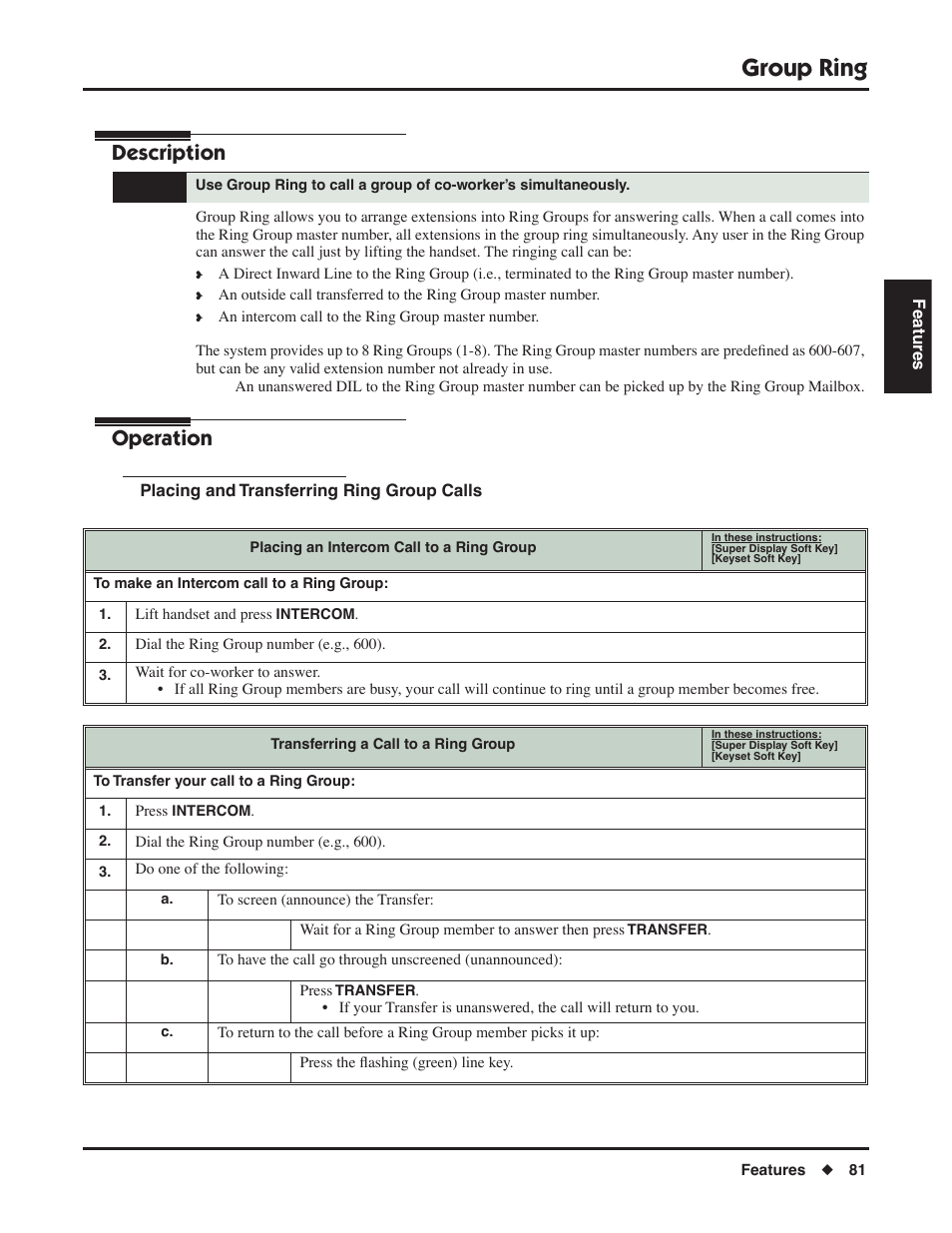 Group ring, Description, Operation | NEC DSX 1093099 User Manual | Page 89 / 190
