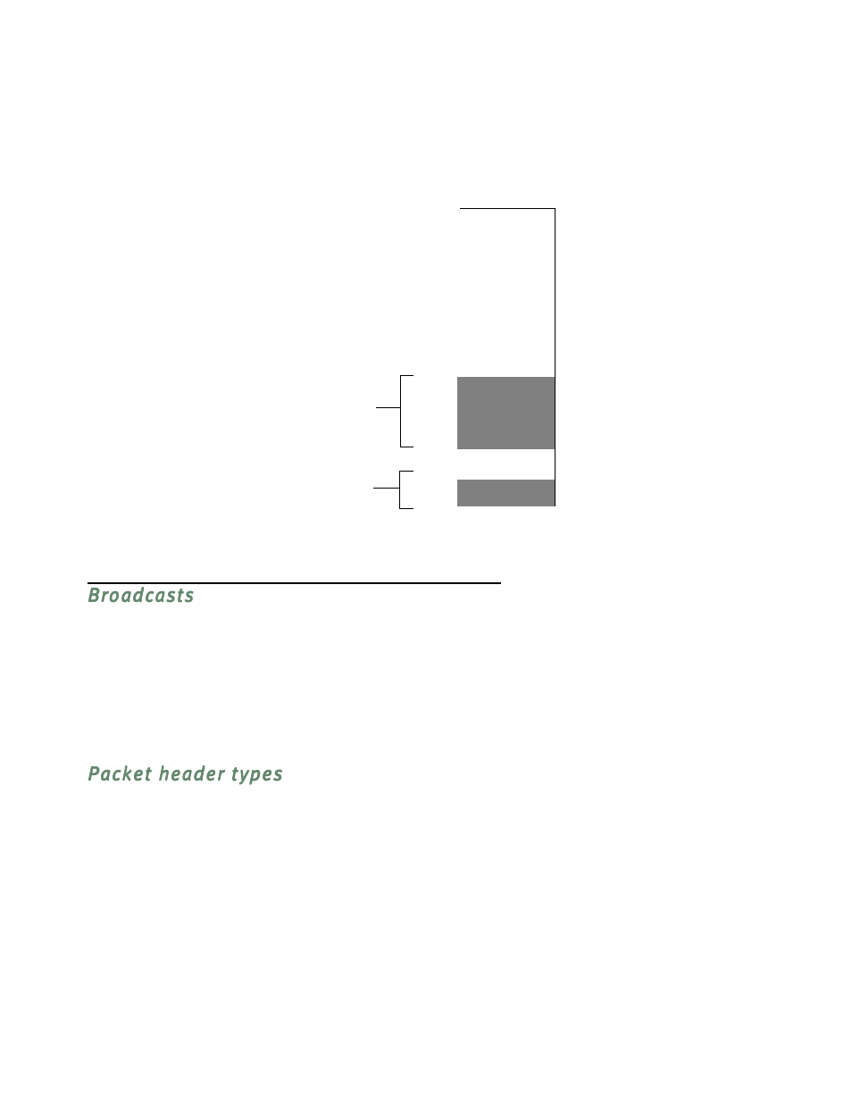 Broadcasts, Packet header types | Netopia R5300 User Manual | Page 251 / 290