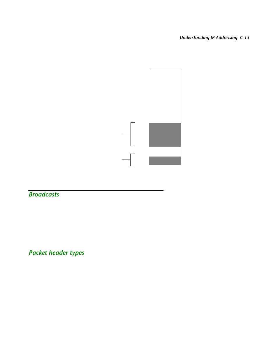 Broadcasts, Packet header types | Netopia R2121 User Manual | Page 241 / 280