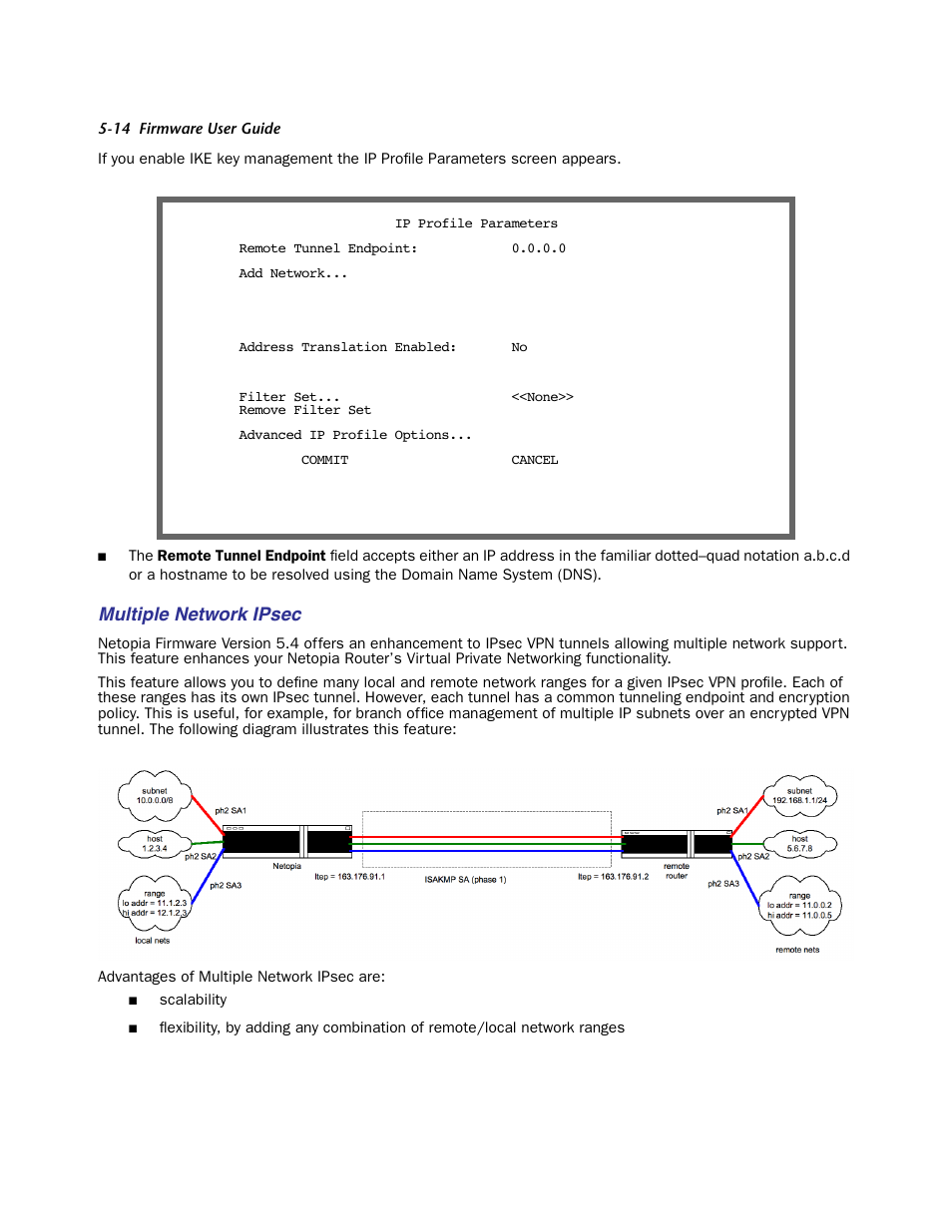 Multiple network ipsec | Netopia Firmware 4000-Series User Manual | Page 144 / 314