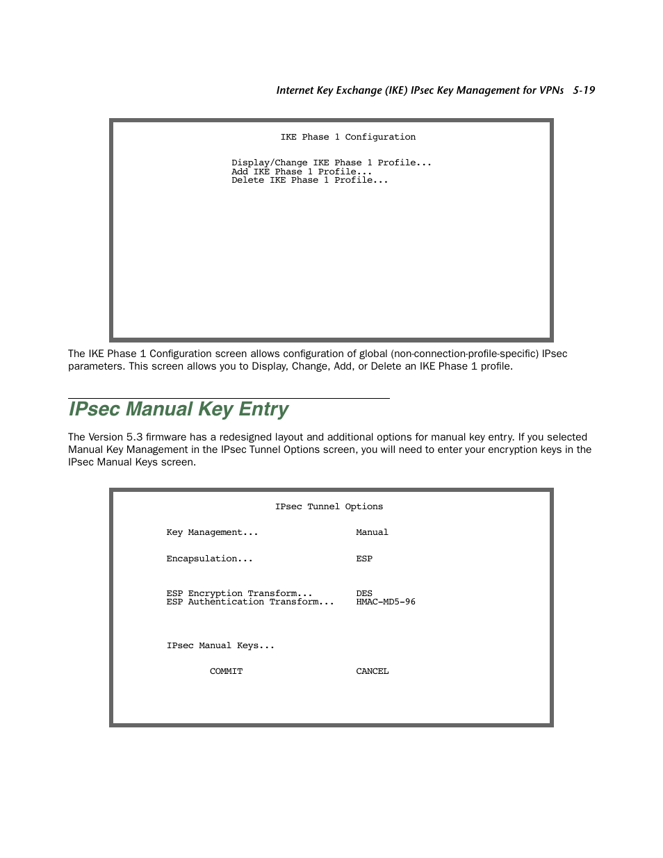 Ipsec manual key entry, Ipsec manual key entr y -19 | Netopia Firmware 4000-Series User Manual | Page 149 / 314