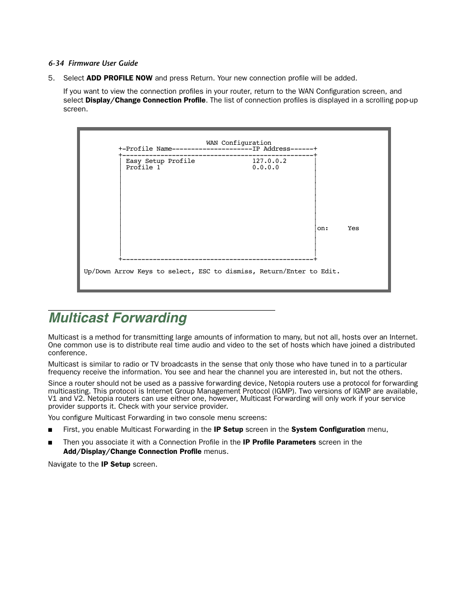 Multicast forwarding, Multicast for warding -34, Choose the type that you want to enable. see | Netopia Firmware 4000-Series User Manual | Page 186 / 314