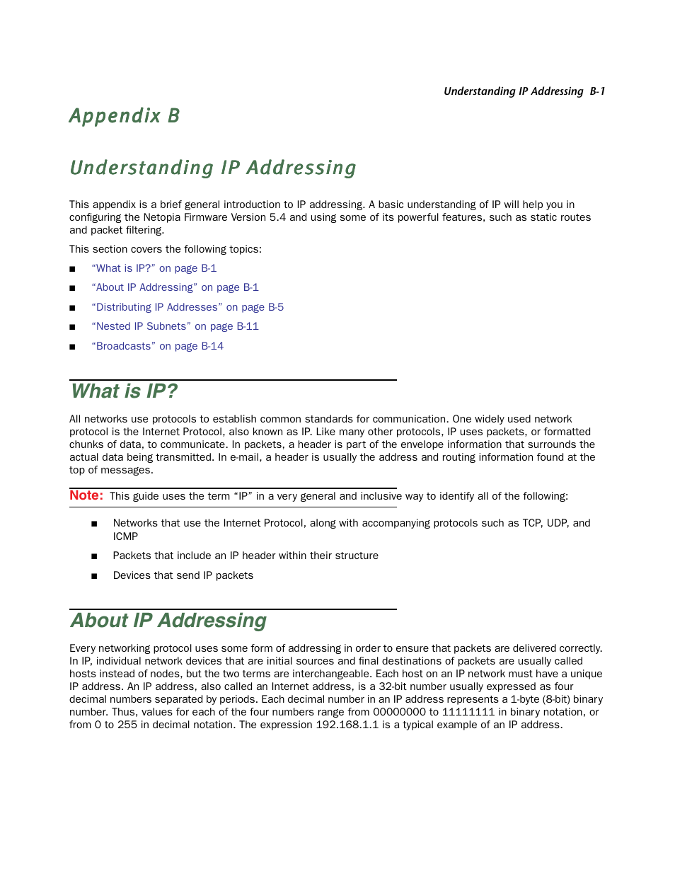 Understanding ip addressing, What is ip, About ip addressing | Netopia Firmware 4000-Series User Manual | Page 293 / 314