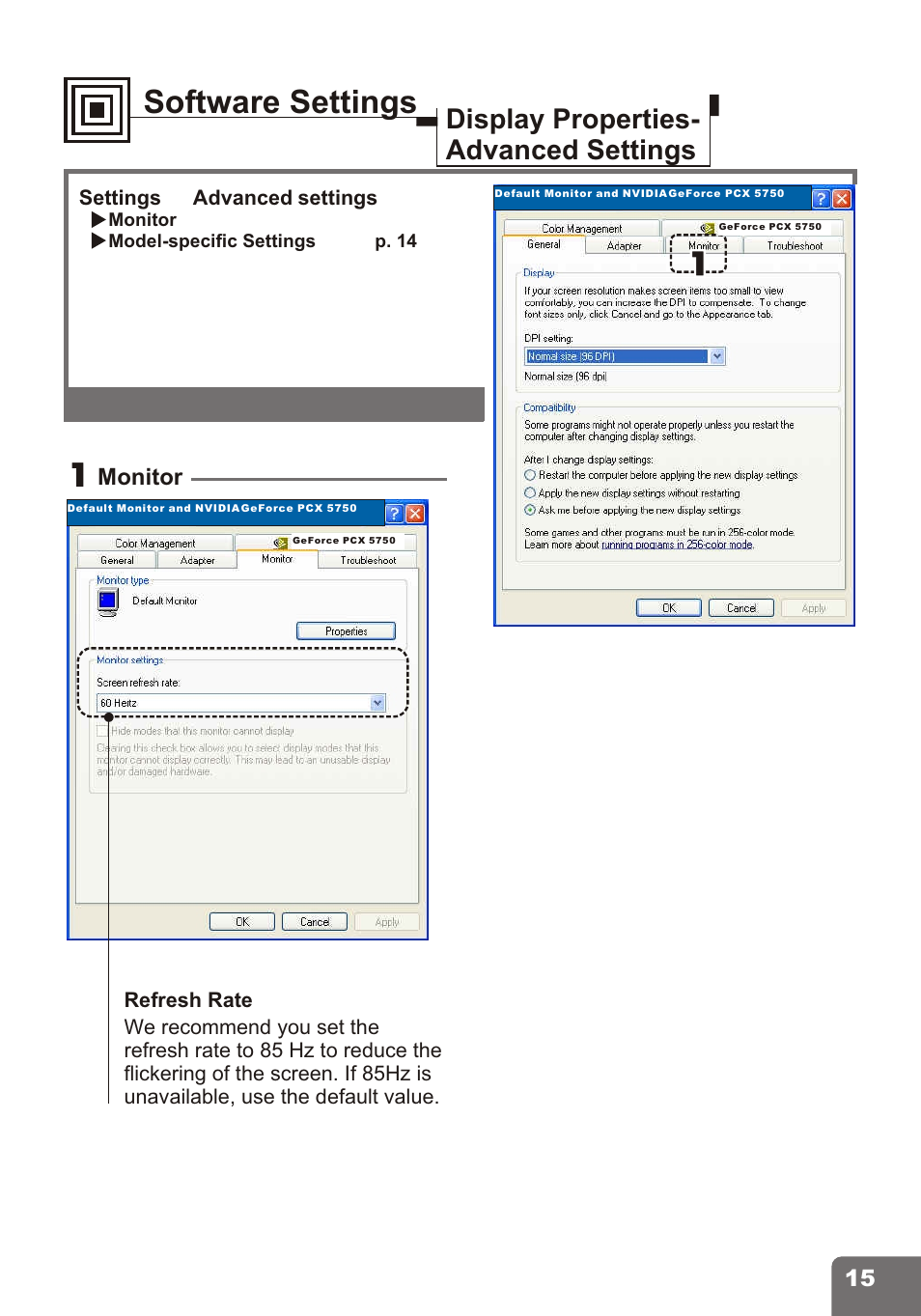 Software settings, Display properties- advanced settings | Nvidia PCI Express Series User Manual | Page 17 / 28