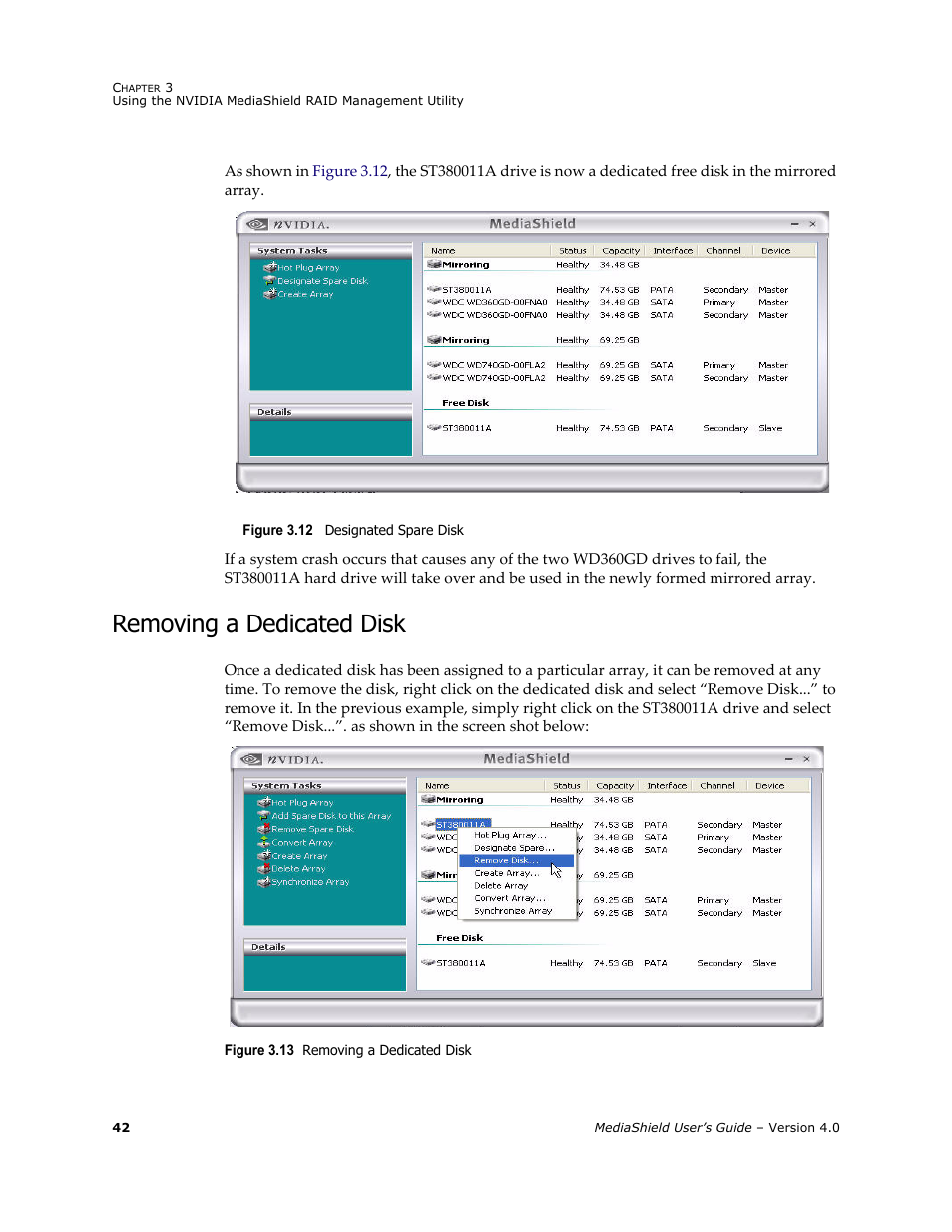 Removing a dedicated disk | Nvidia 4 User Manual | Page 46 / 159