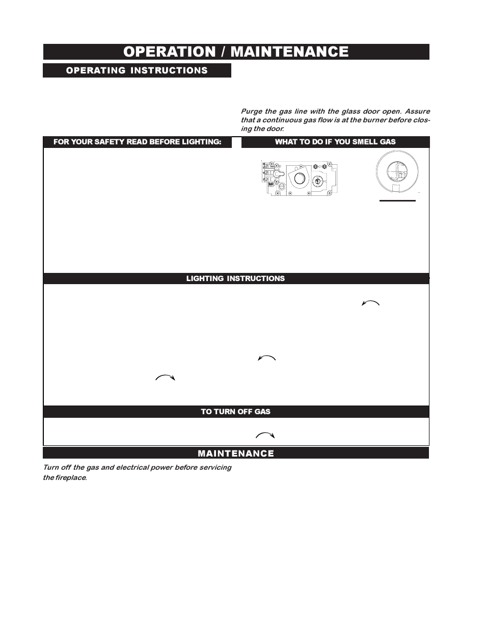 Operation / maintenance, Operating instructions, Maintenance | Napoleon Fireplaces BGD38PT User Manual | Page 22 / 28