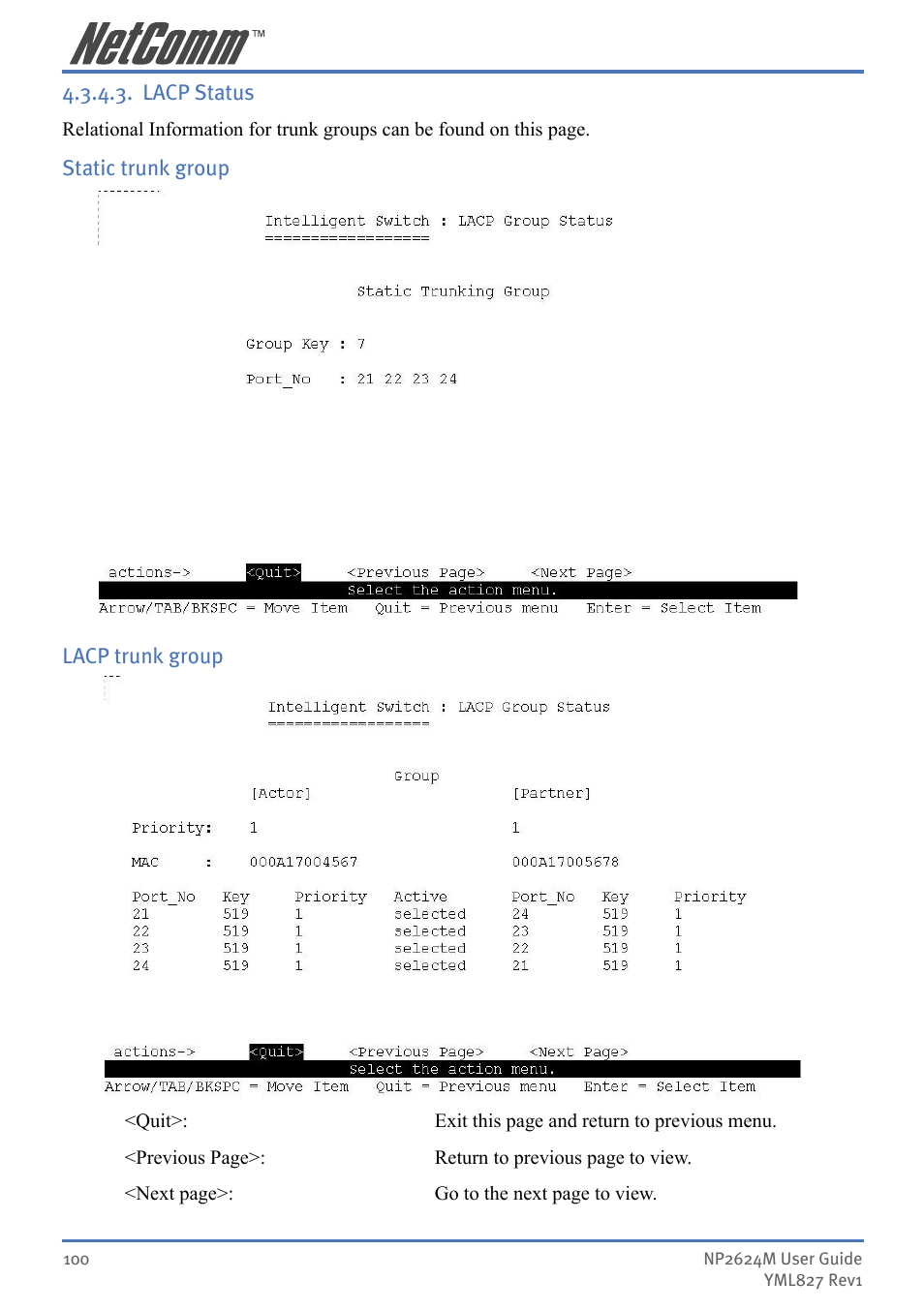 NetComm NP2624M User Manual | Page 100 / 134