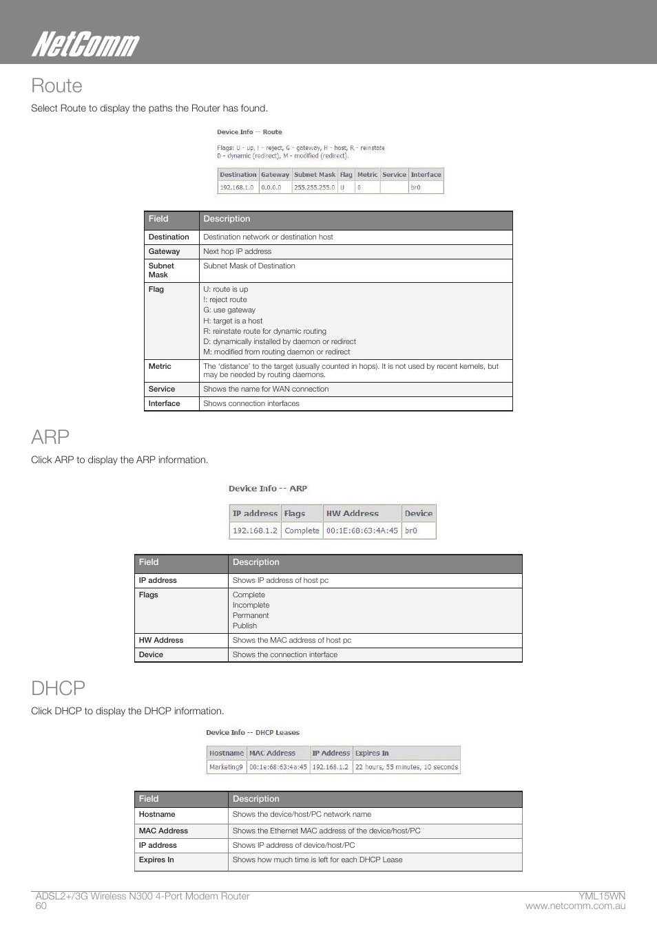 Route, Dhcp | Nortel Networks N300 User Manual | Page 60 / 72