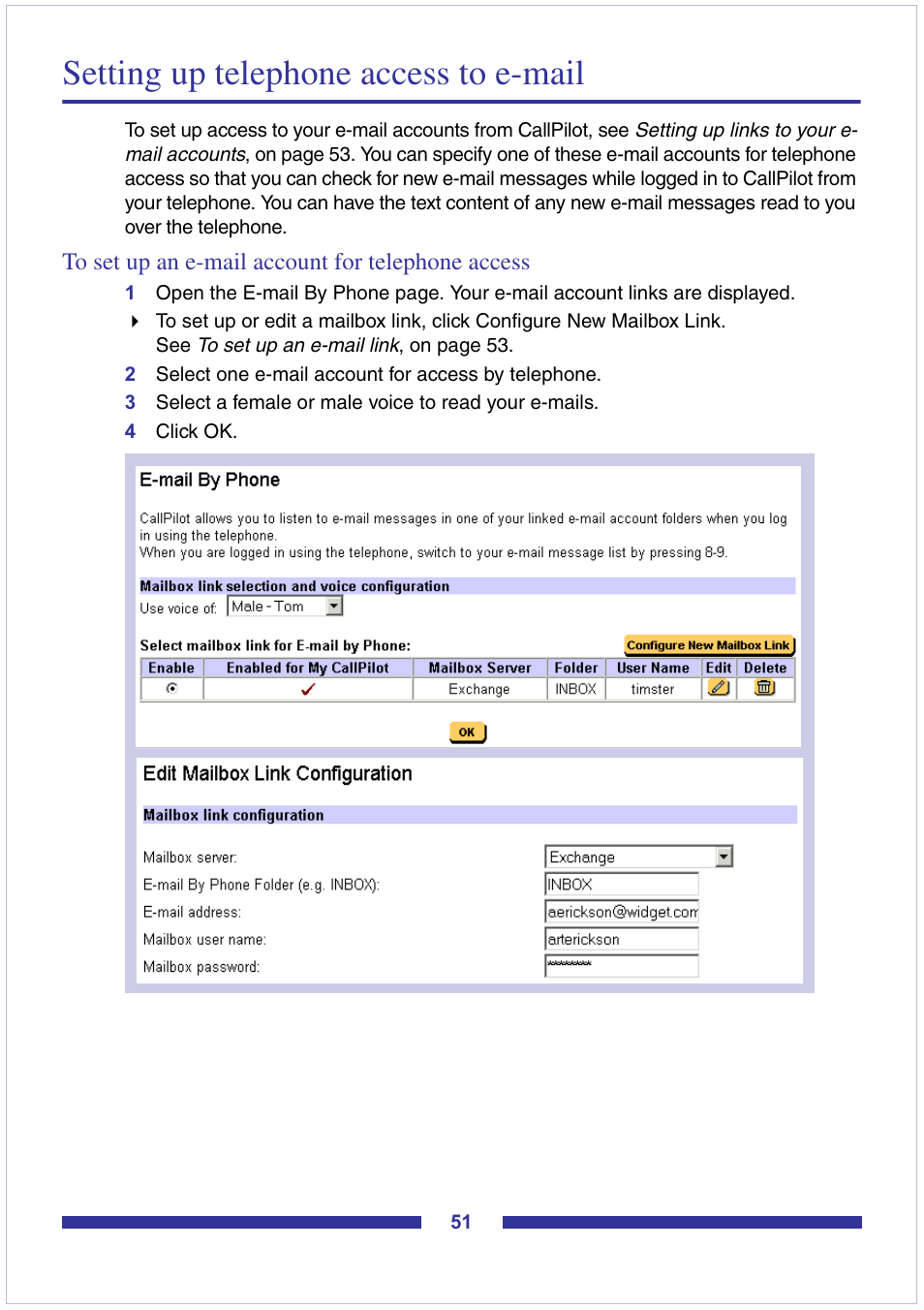 Setting up telephone access to e-mail, To set up an e-mail account for telephone access | Nortel Networks CallPilot Desktop Messaging User Manual | Page 51 / 72