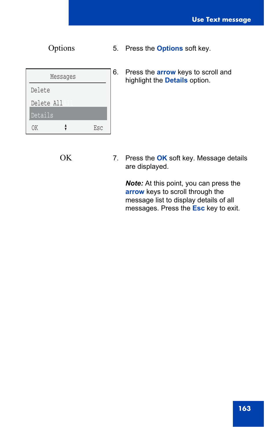 Options, Delete messages delete all all details ok a esc | Nortel Networks 4060 User Manual | Page 163 / 174