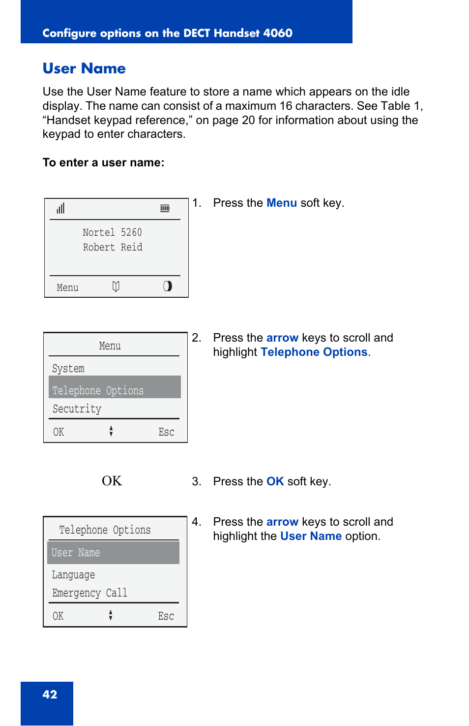 User name | Nortel Networks 4060 User Manual | Page 42 / 174