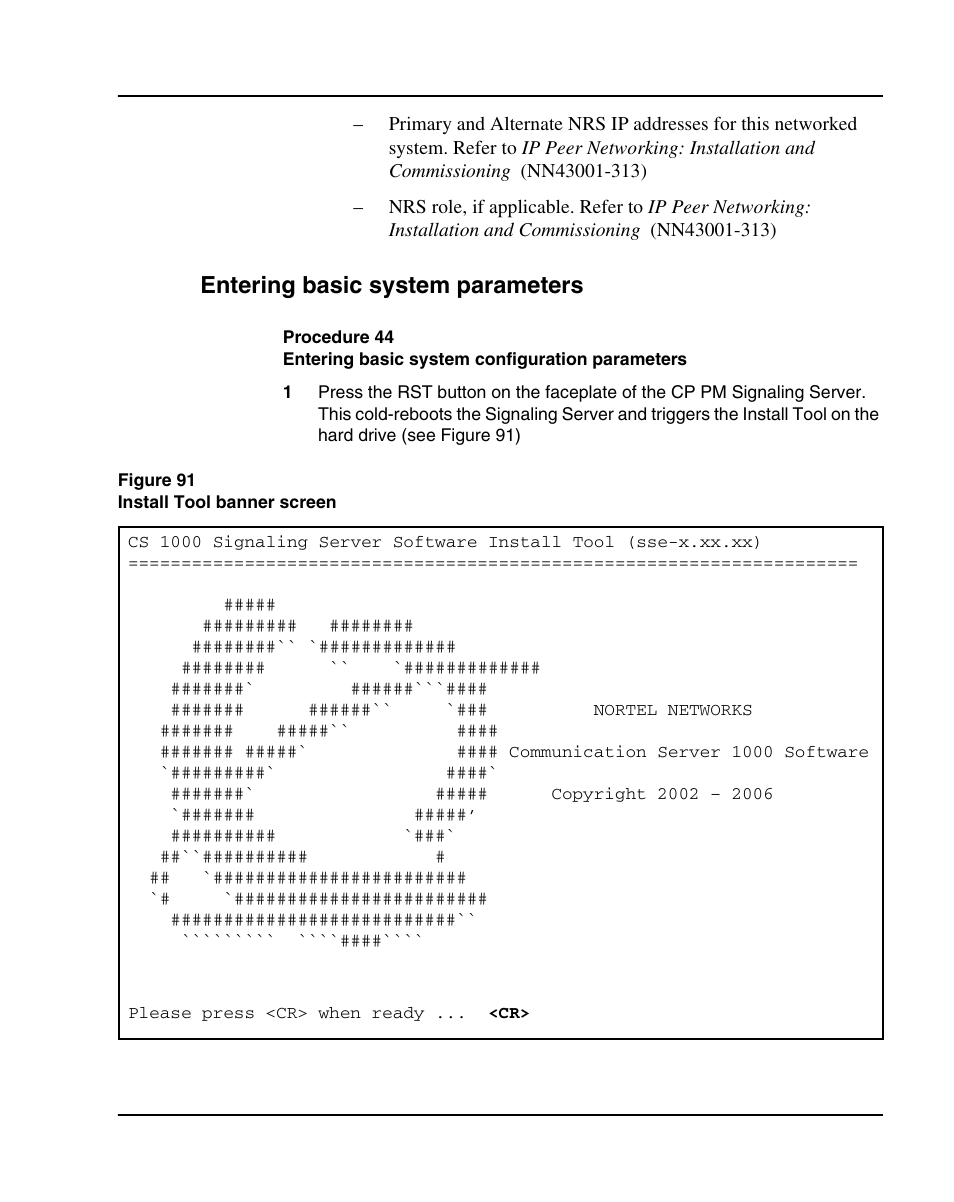 Entering basic system parameters | Nortel Networks 1000E User Manual | Page 217 / 468