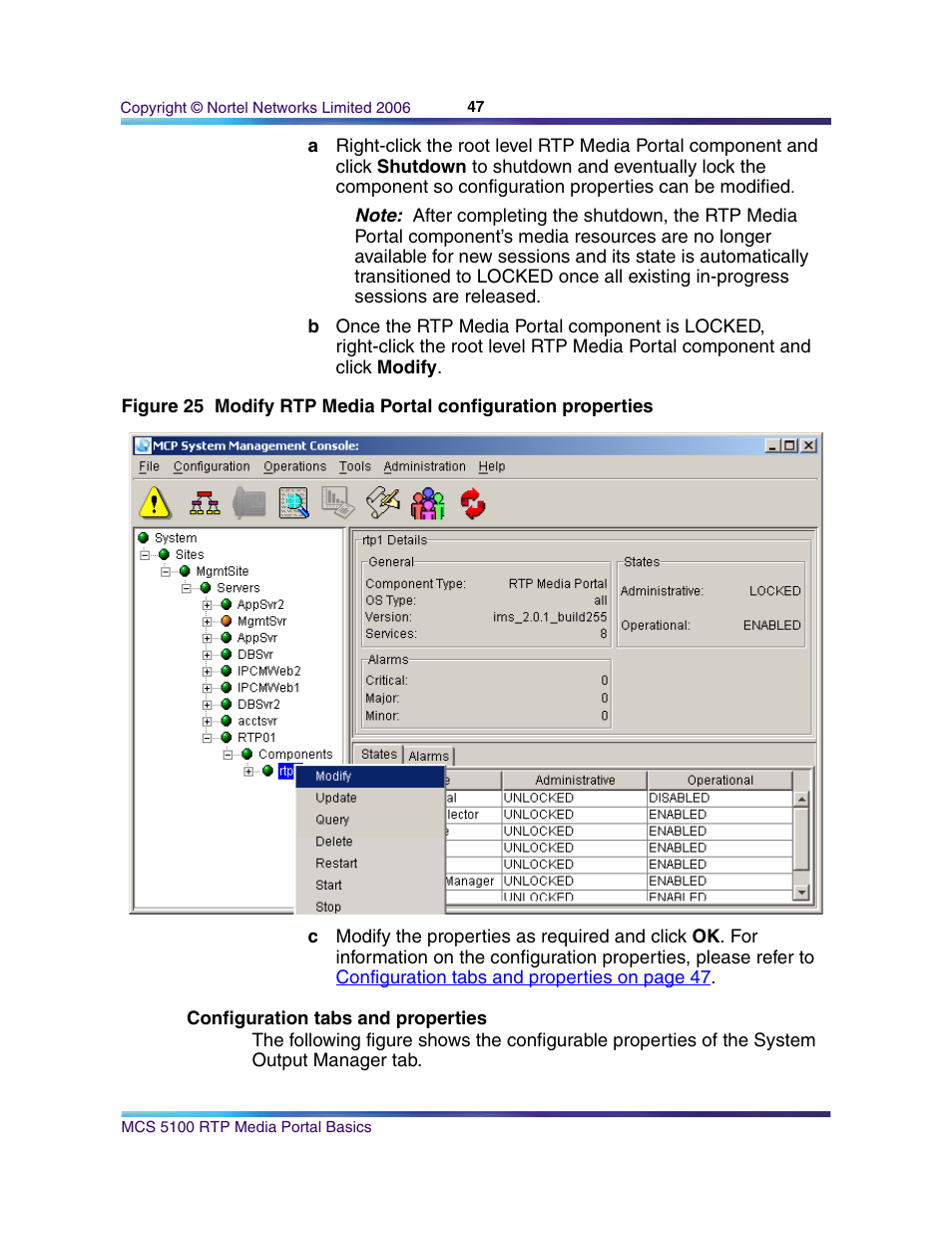 Configuration tabs and properties | Nortel Networks NN10265-111 User Manual | Page 47 / 118