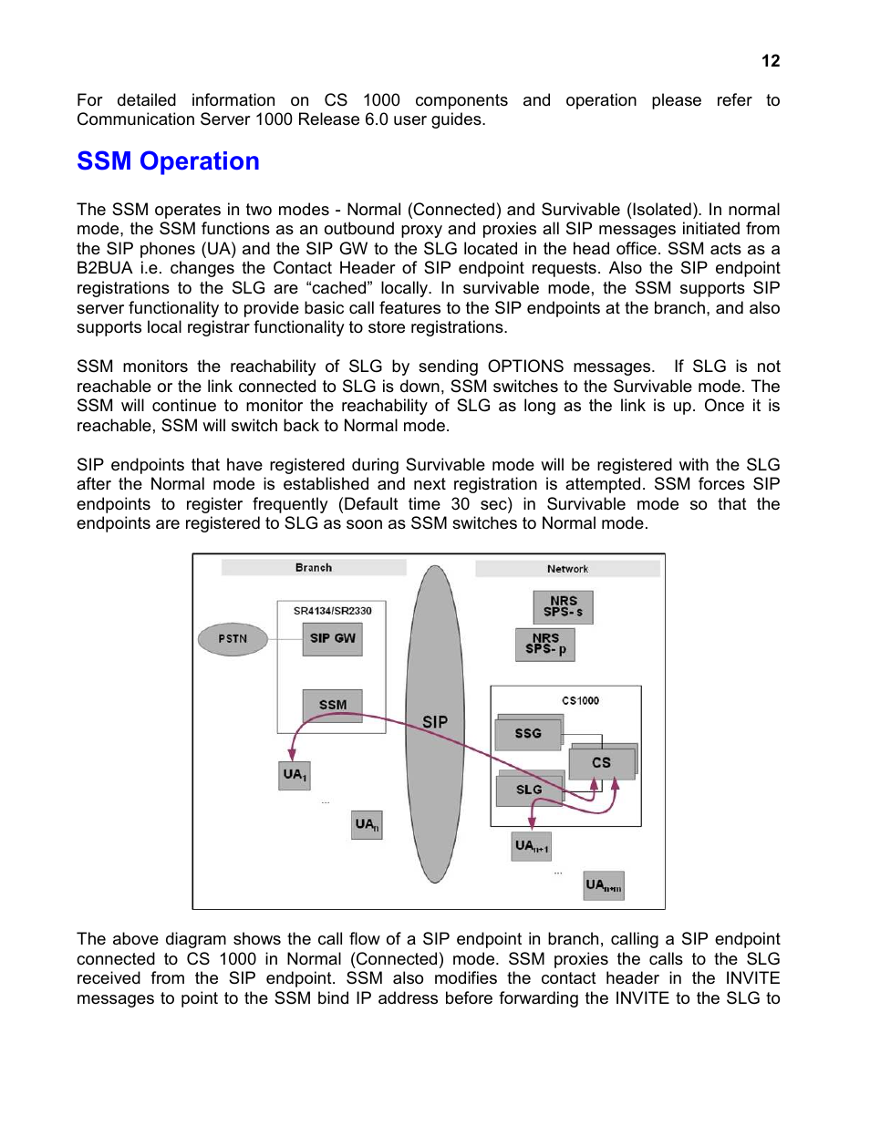 Ssm operation | Nortel Networks 4134 User Manual | Page 12 / 40
