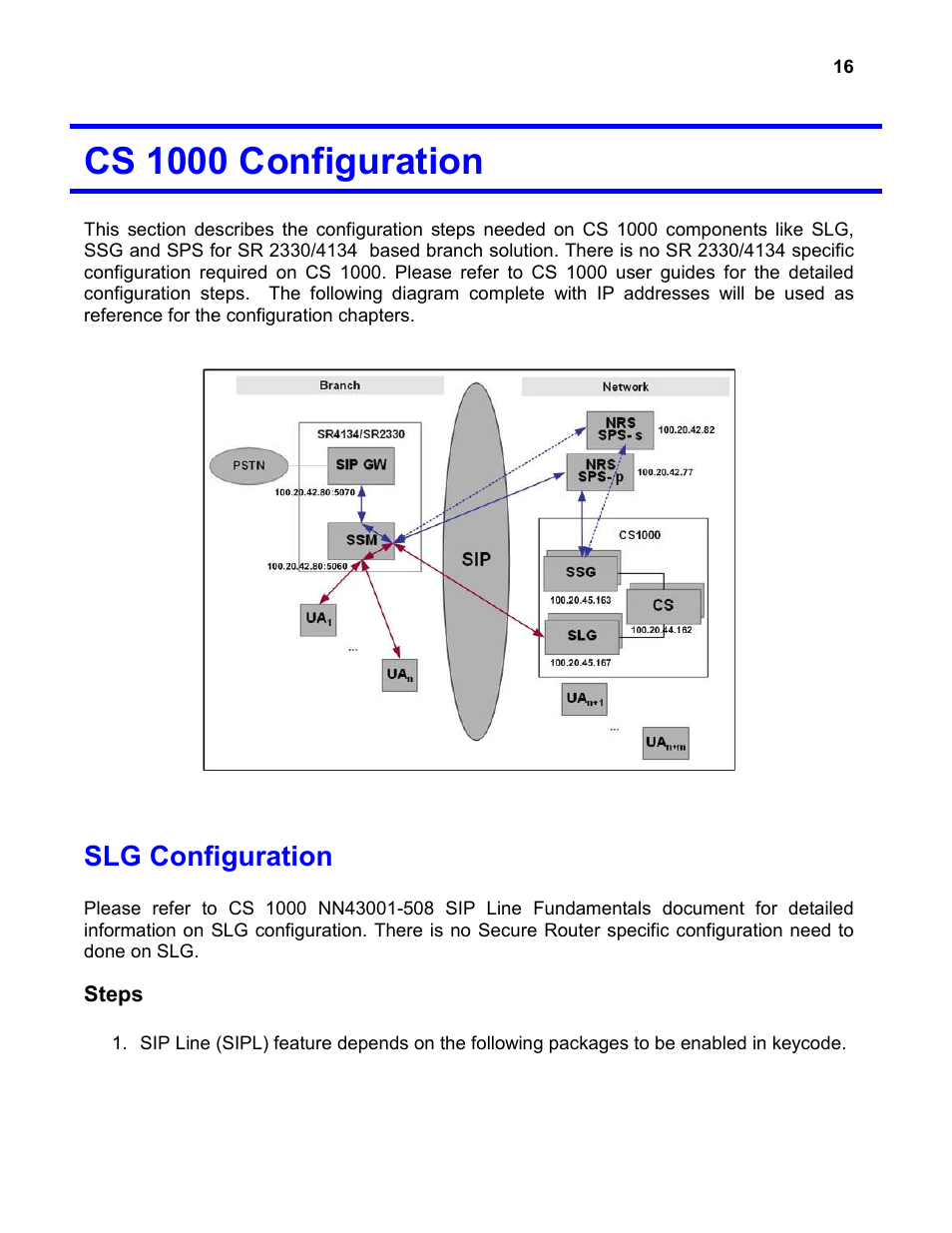 Cs 1000 configuration, Slg configuration | Nortel Networks 4134 User Manual | Page 16 / 40