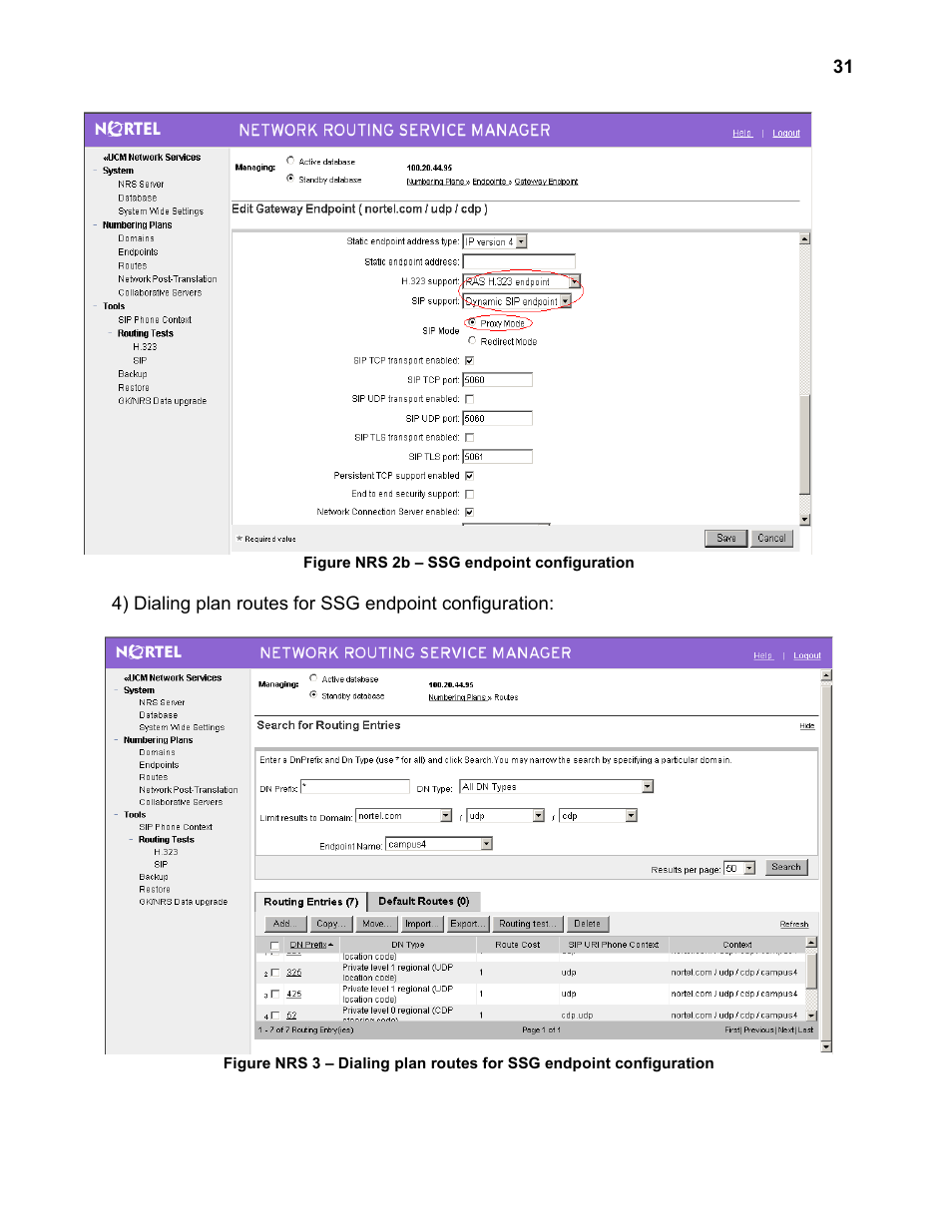 Nortel Networks 4134 User Manual | Page 31 / 40