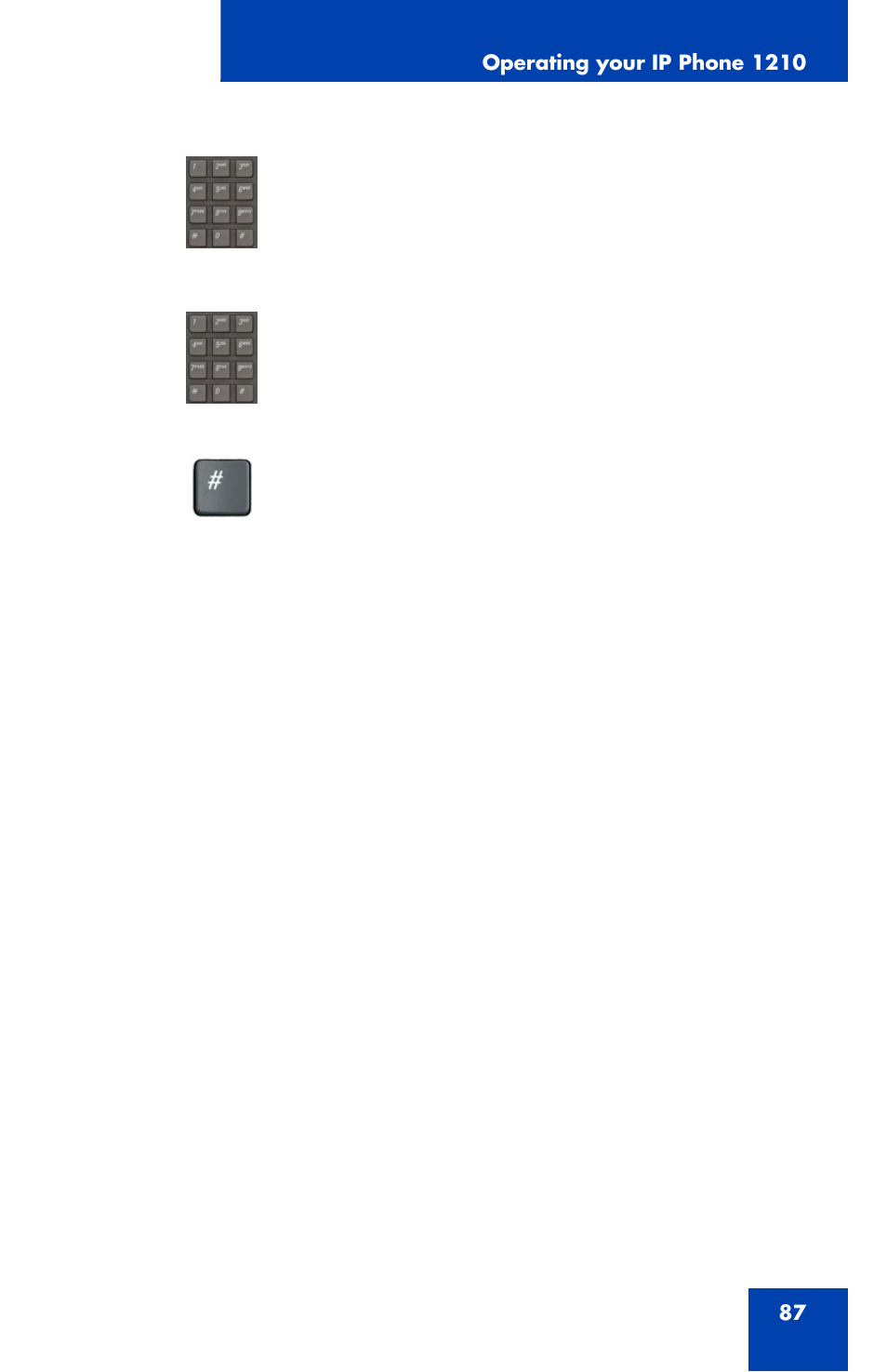 Nortel Networks Nortel IP Phone 1210 User Manual | Page 87 / 118