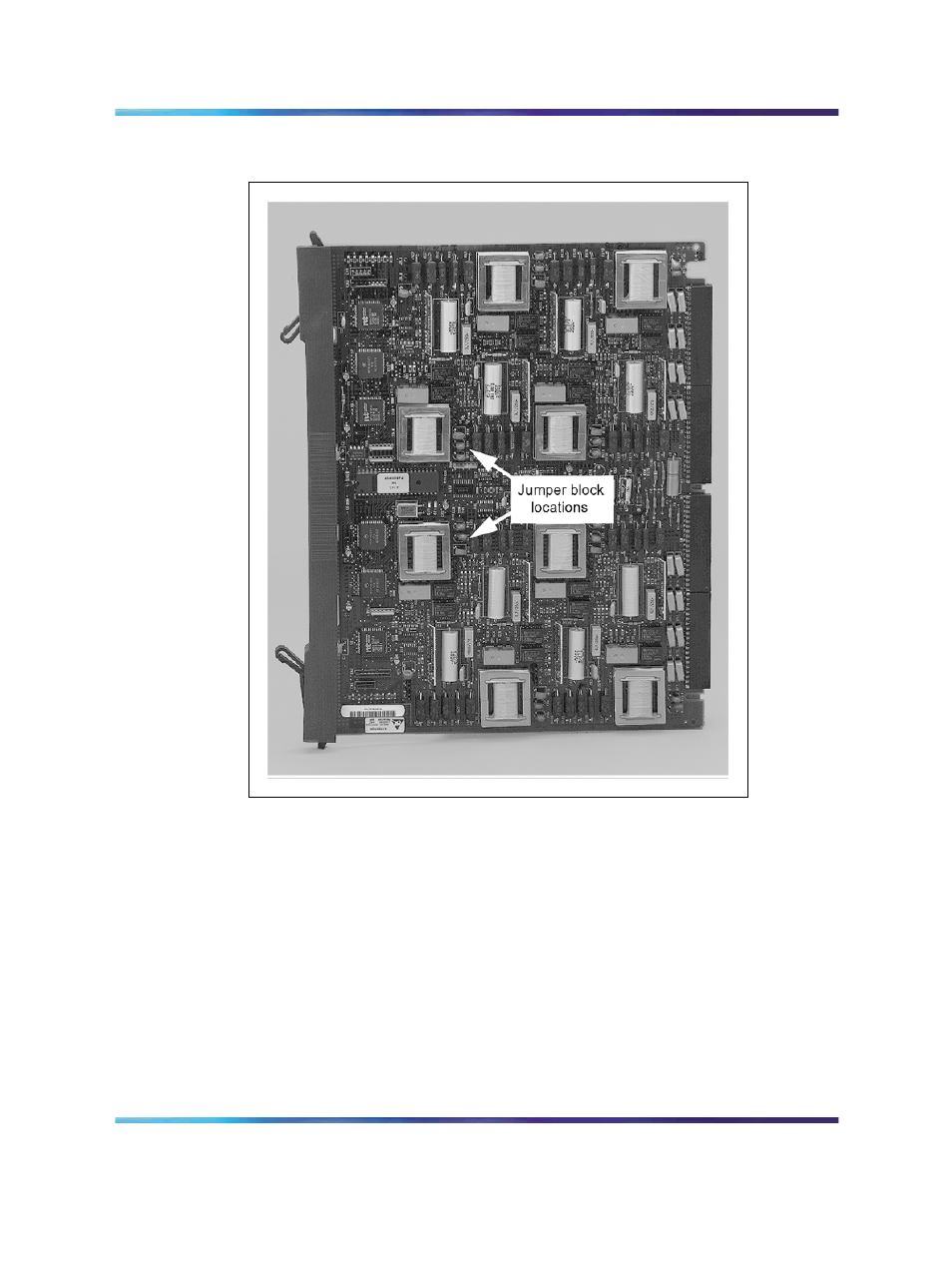 Figure 96 "ops analog line card | Nortel Networks 1000M User Manual | Page 204 / 474