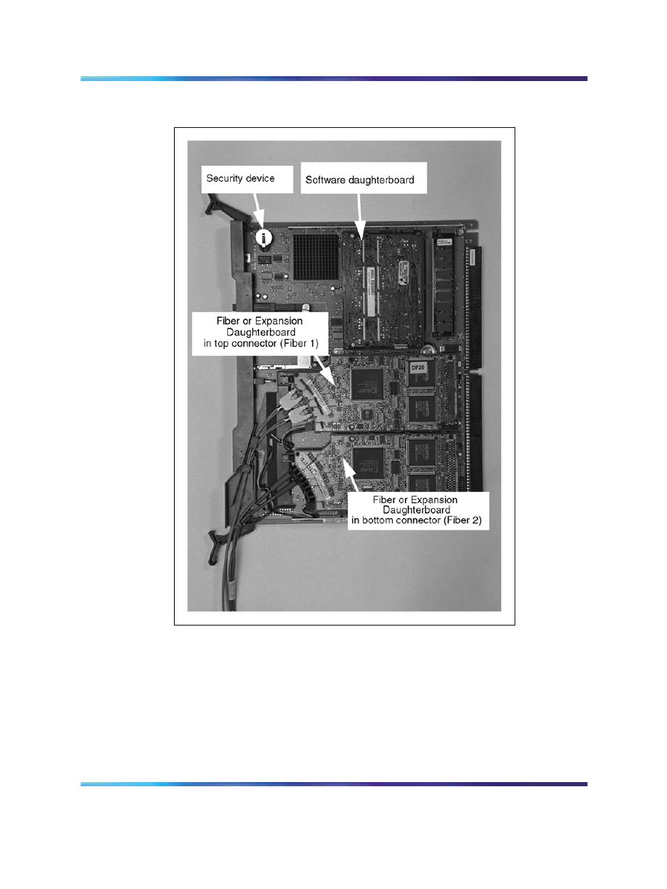 Sdi/dch card, Isdn and dti packs | Nortel Networks 1000M User Manual | Page 31 / 474