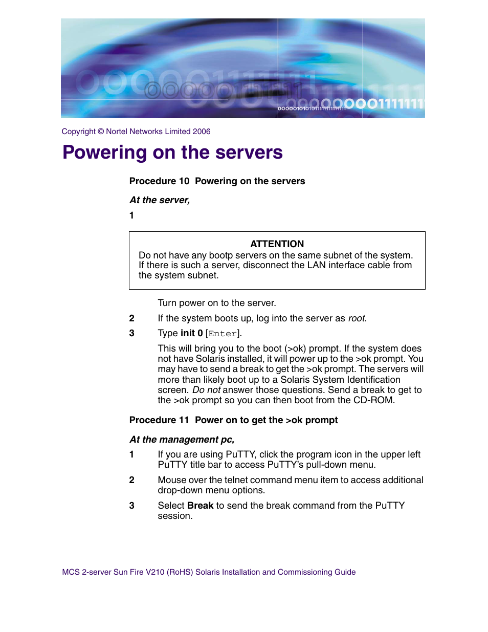Powering on the servers | Nortel Networks Sun Fire V210 (RoHS) User Manual | Page 45 / 176