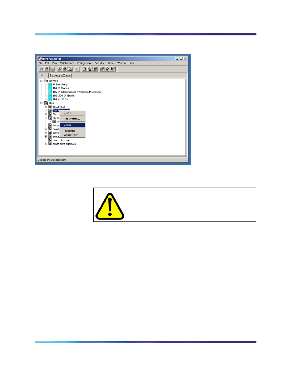 Figure 73 deleting a site, Warning | Nortel Networks NN43001-563 User Manual | Page 287 / 490