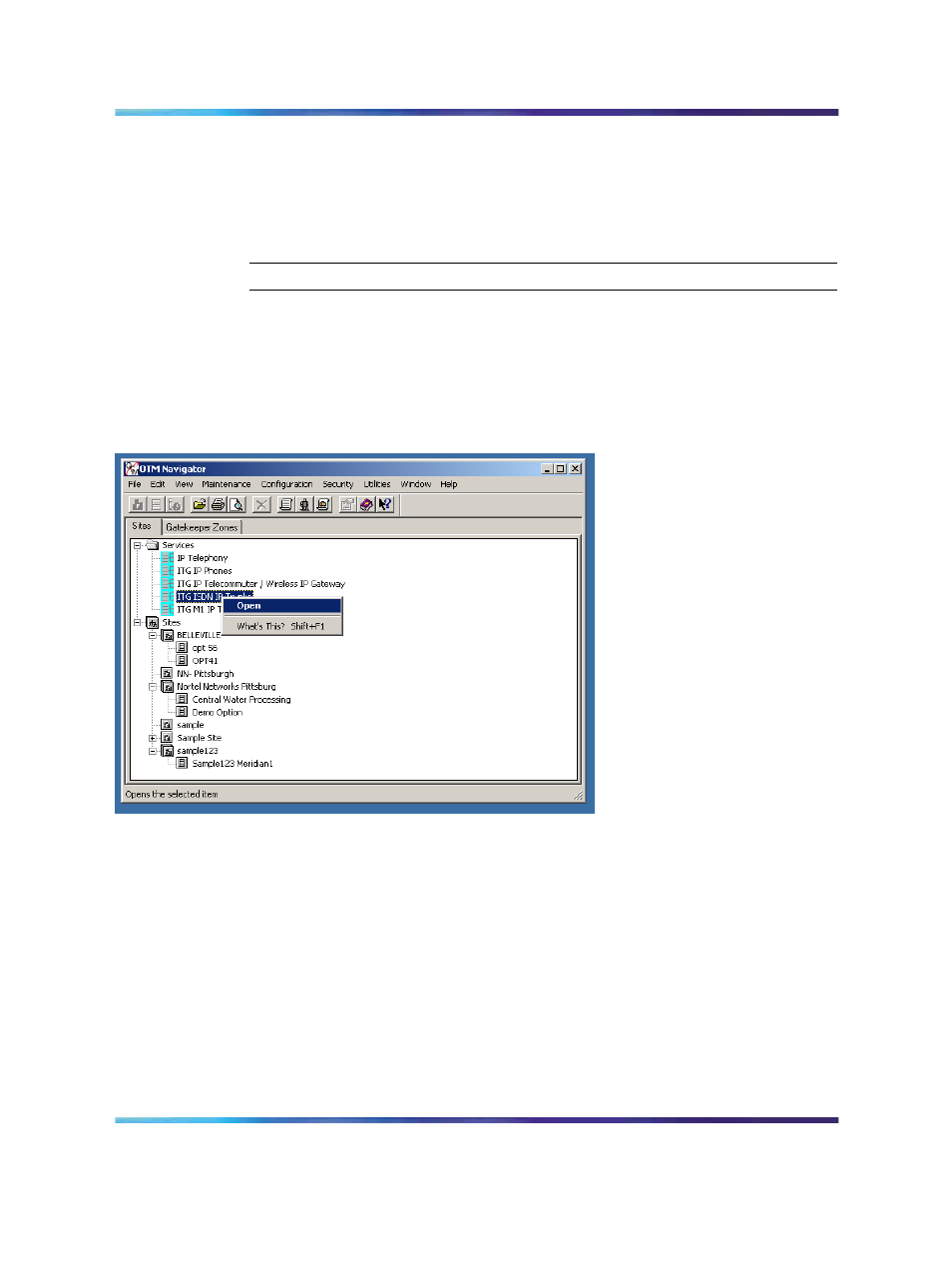 Add an ip trunk 3.01 (and later) node | Nortel Networks NN43001-563 User Manual | Page 301 / 490