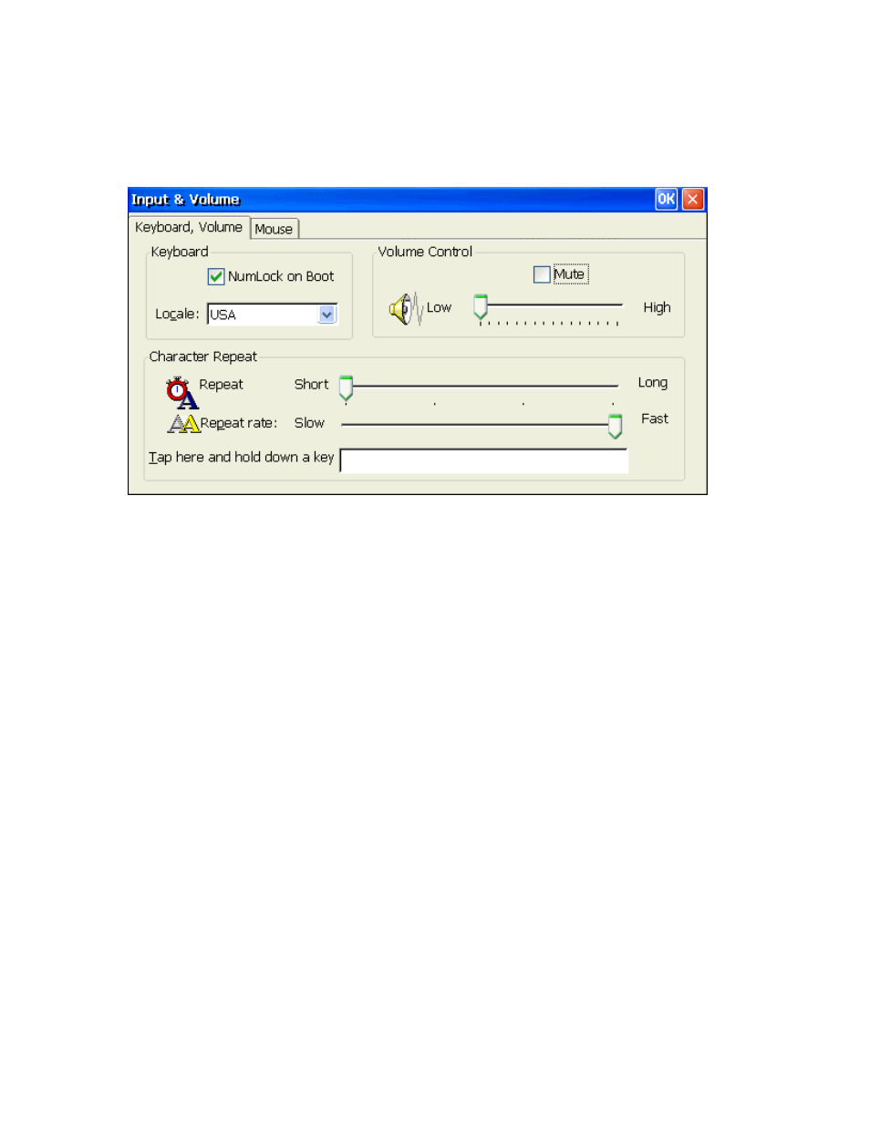 Input & volume, Keyboard, volume tab, Numlock on boot | Locale, Volume control, Character repeat, Repeat rate, Tap here and hold down a key, Nput, Olume | Nlynx MinIT6000 User Manual | Page 55 / 127