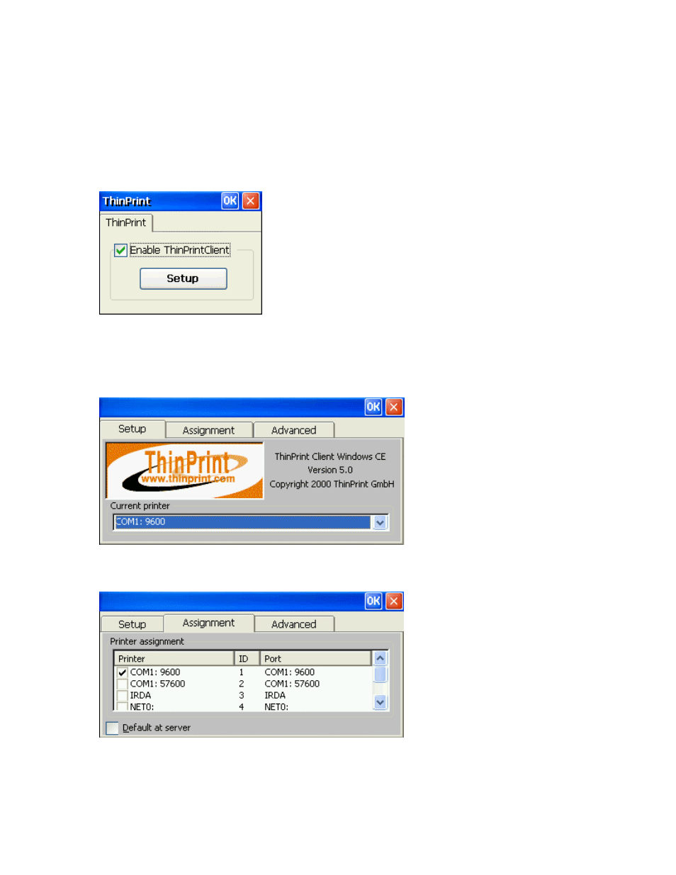 Thinprint, Enable window, Setup tab | Assignment tab, Rint | Nlynx MinIT6000 User Manual | Page 72 / 127