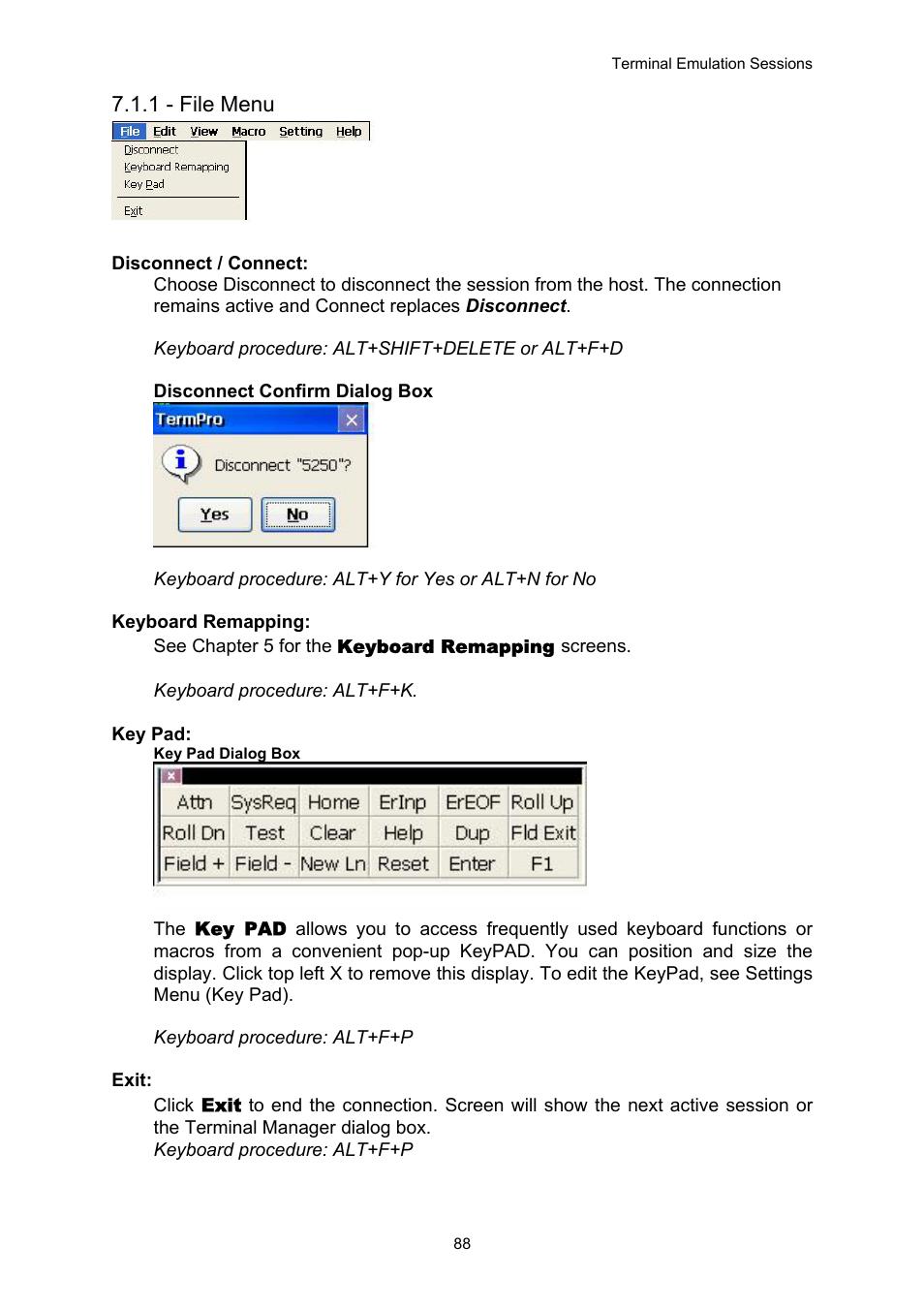 File menu, 1 - file menu | Nlynx OMNITERM WBT 2.1.0E User Manual | Page 91 / 131