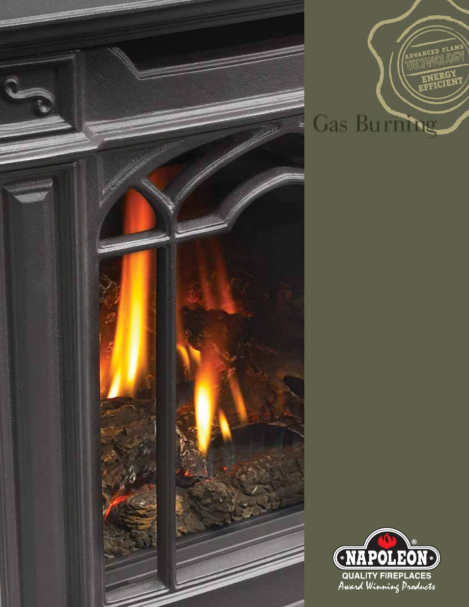 Napoleon Fireplaces Gas Burning Stoves User Manual | 12 pages