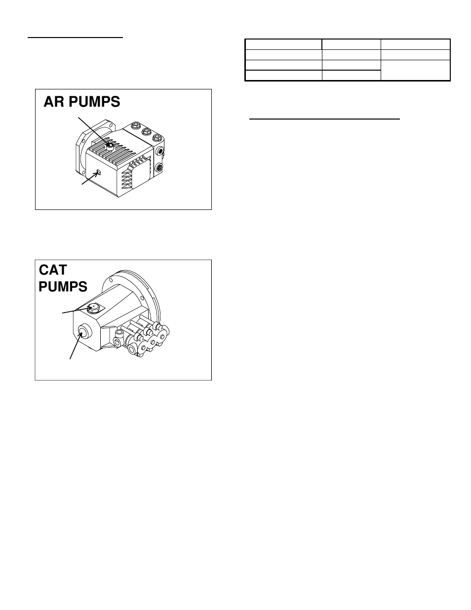 Ar pumps, Cat pumps | North Star MHOTPWR User Manual | Page 8 / 27