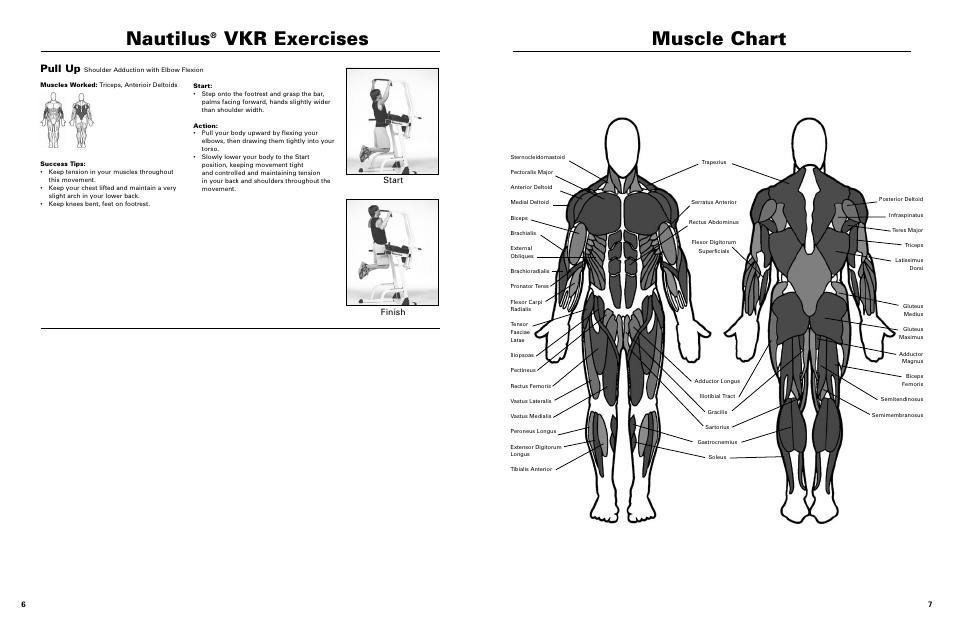 Muscle chart nautilus, Vkr exercises, Pull up | Finish start | Nautilus VKR STRENGTH SYSTEM 1160 User Manual | Page 5 / 5