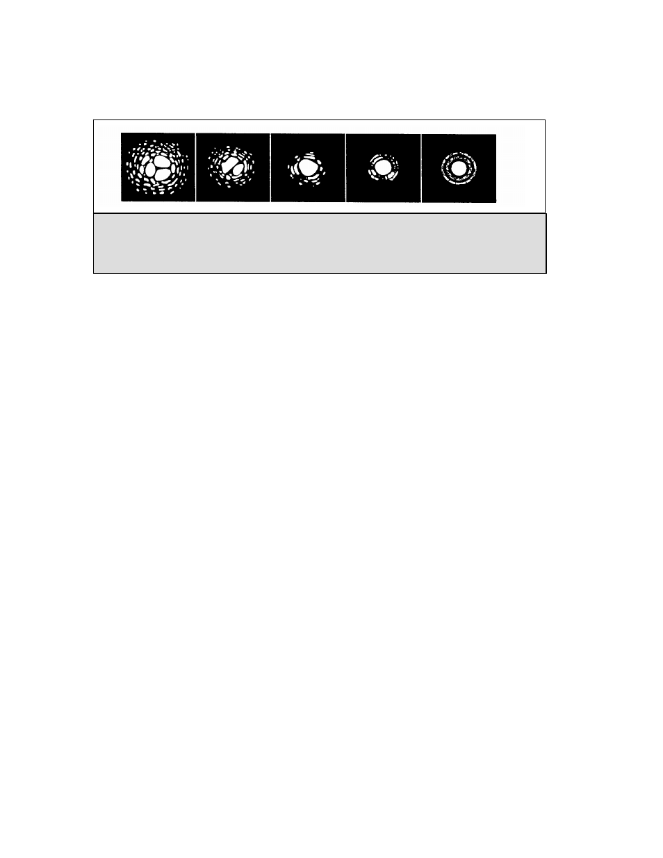 Nexstar 130 User Manual | Page 30 / 48