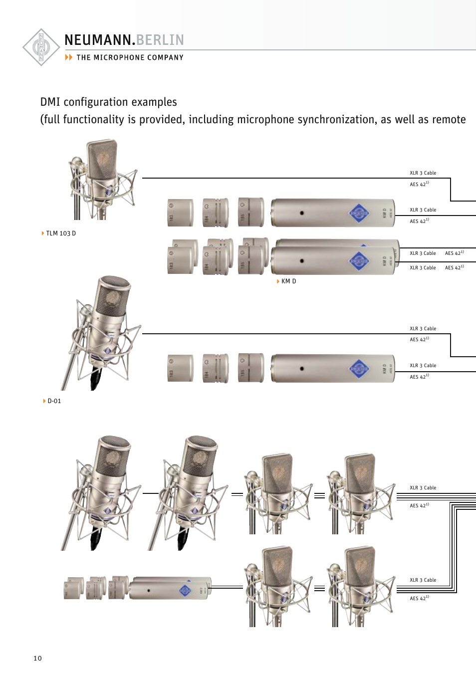 Dmi configuration examples | Neumann.Berlin TLM 67 User Manual | Page 10 / 162