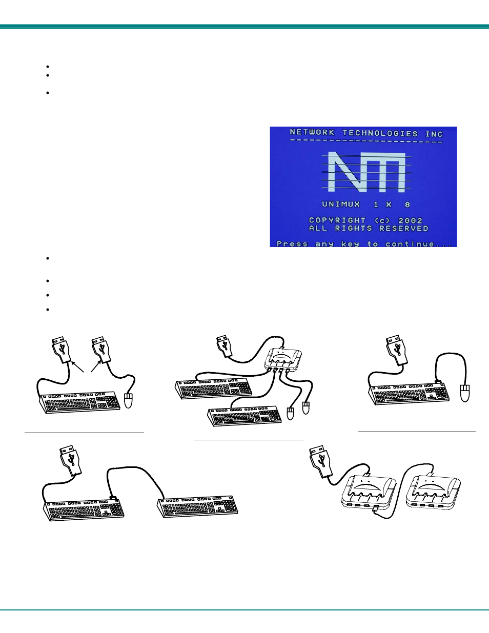 Power-up sequence, Limitations | Network Technologies USBV-x User Manual | Page 11 / 43