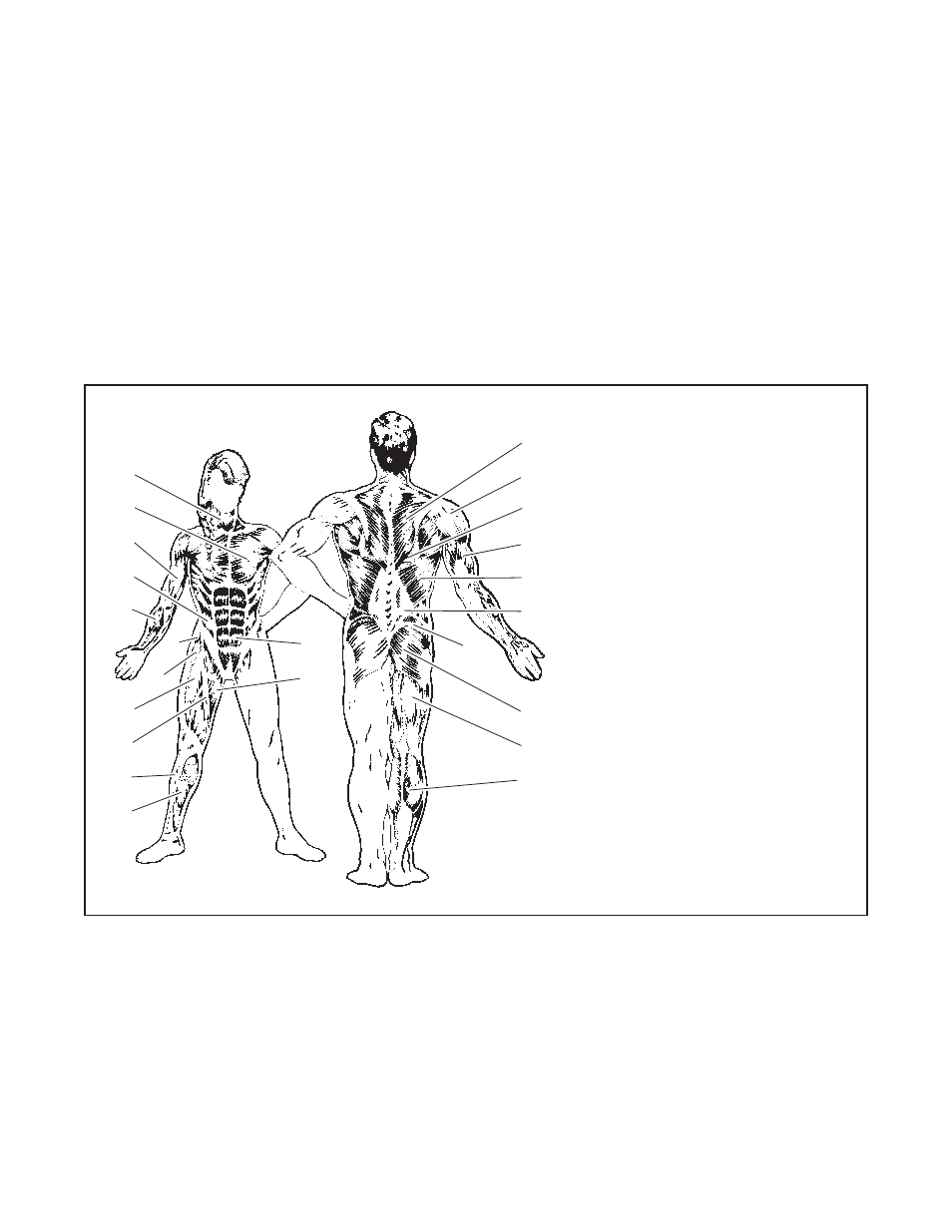 NordicTrack NTS79020 User Manual | Page 23 / 27