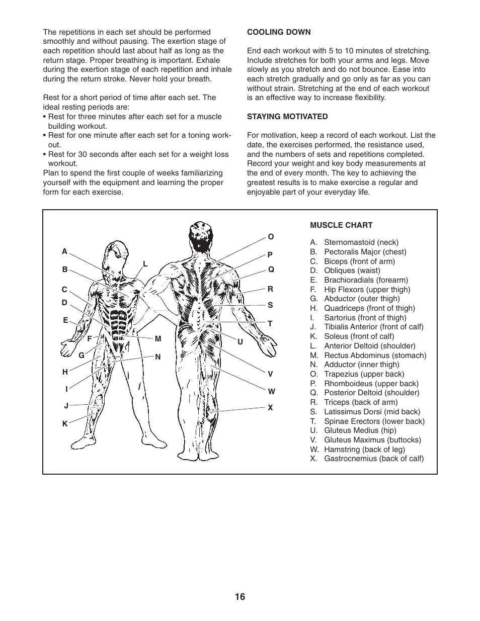 NordicTrack Competition 831.15718.0 User Manual | Page 16 / 20