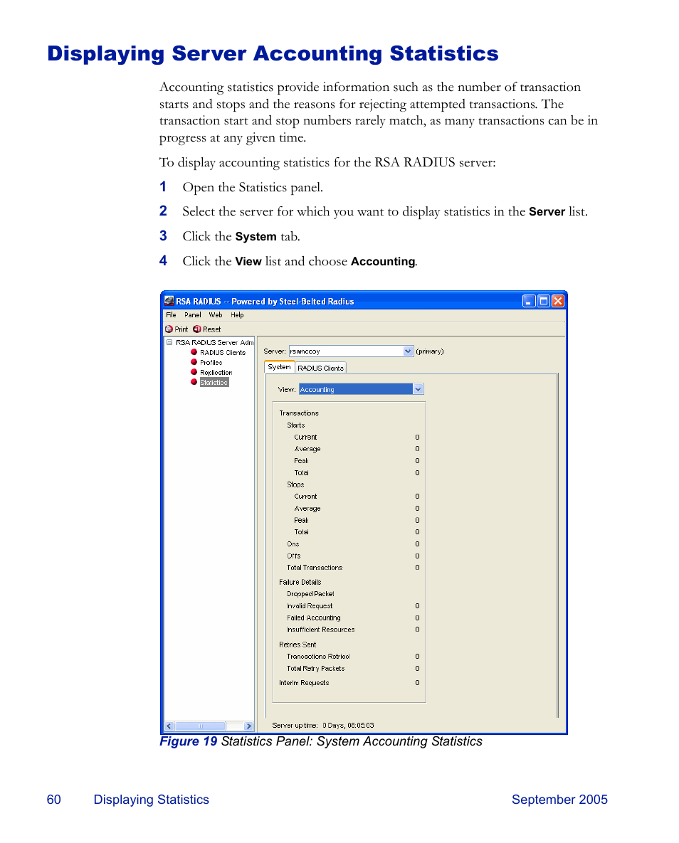 Displaying server accounting statistics | RSA Security 6.1 User Manual | Page 72 / 118