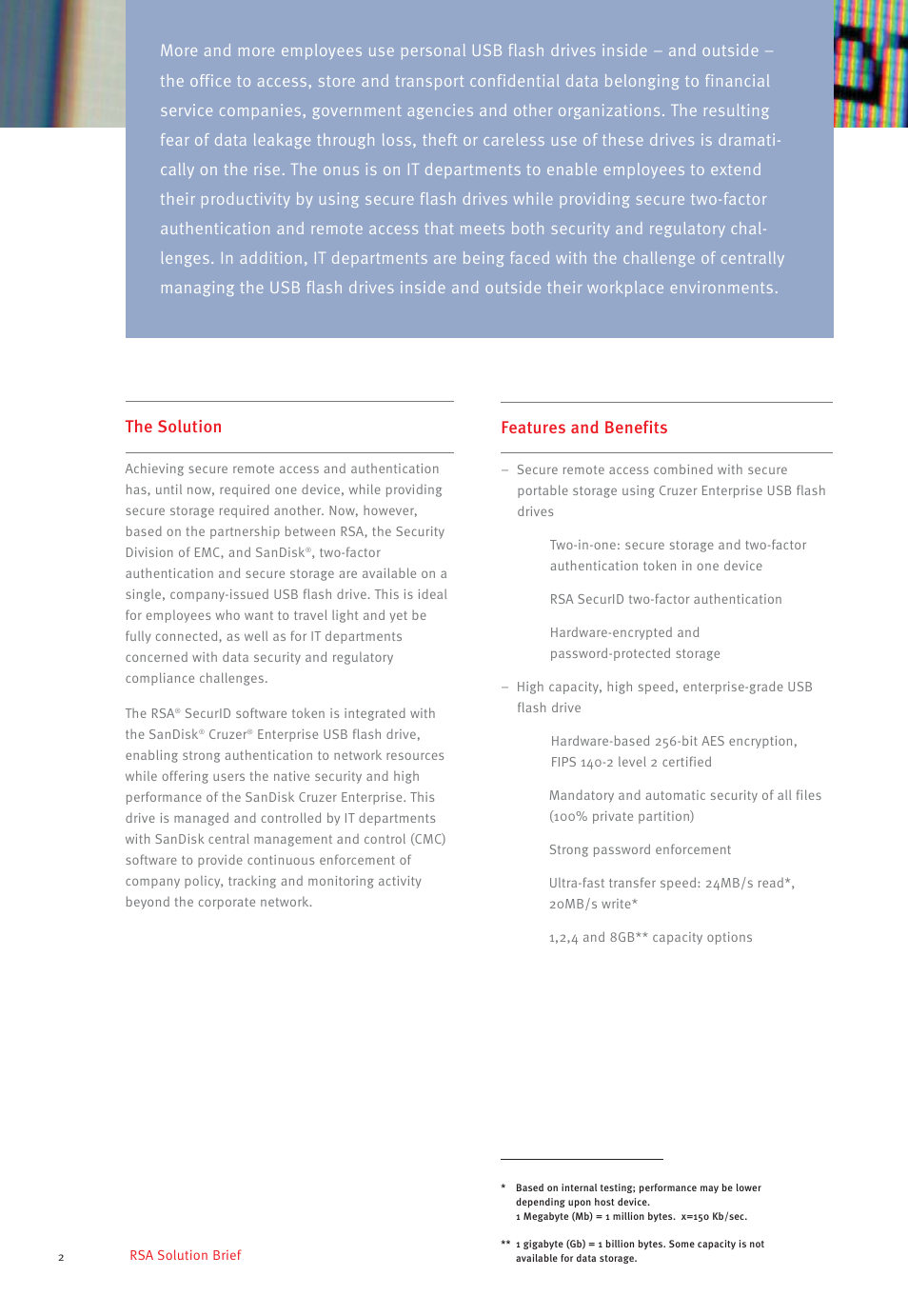 The solution | RSA Security SanDisk Cruzer User Manual | Page 2 / 4